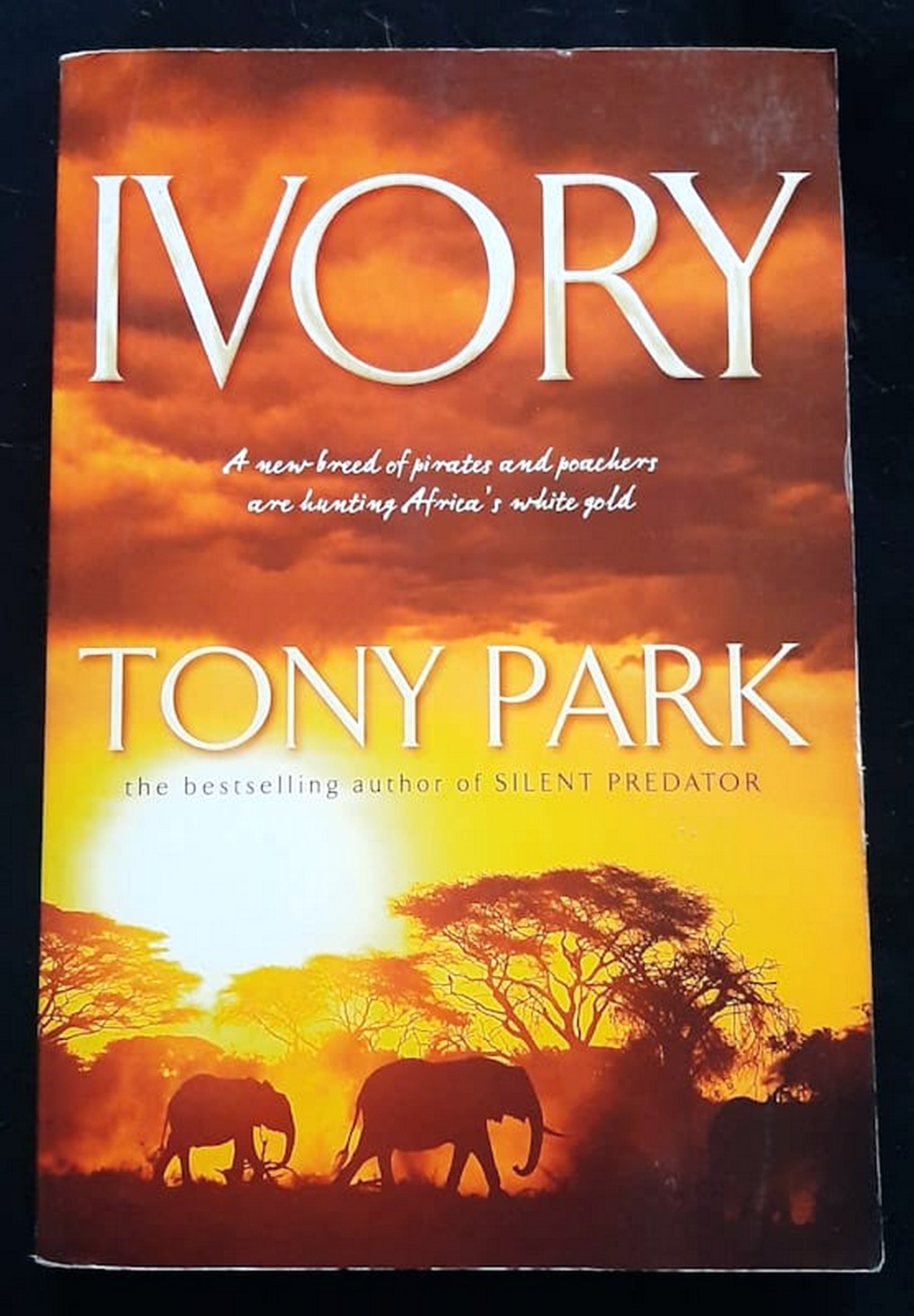 Front Cover Of Ivory (Tony Park)