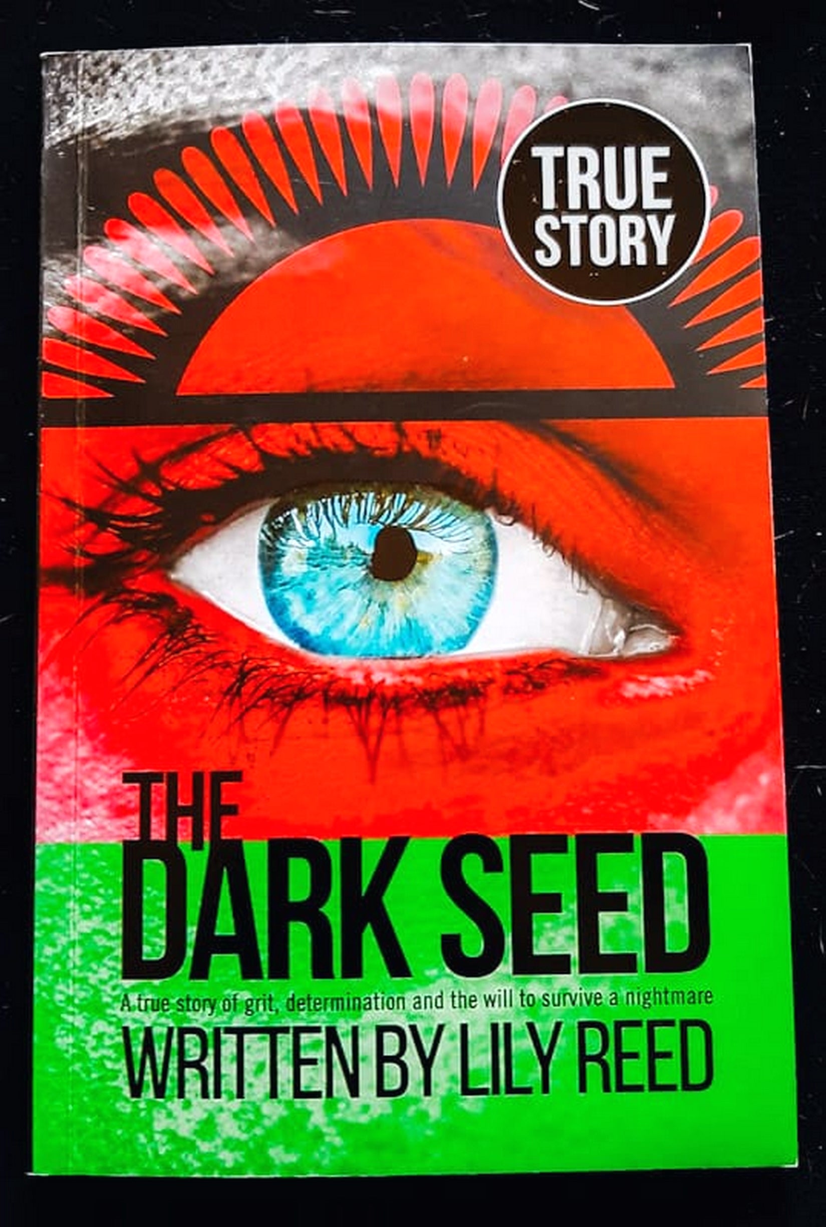Front Cover Of The Dark Seed (Lily Reed)