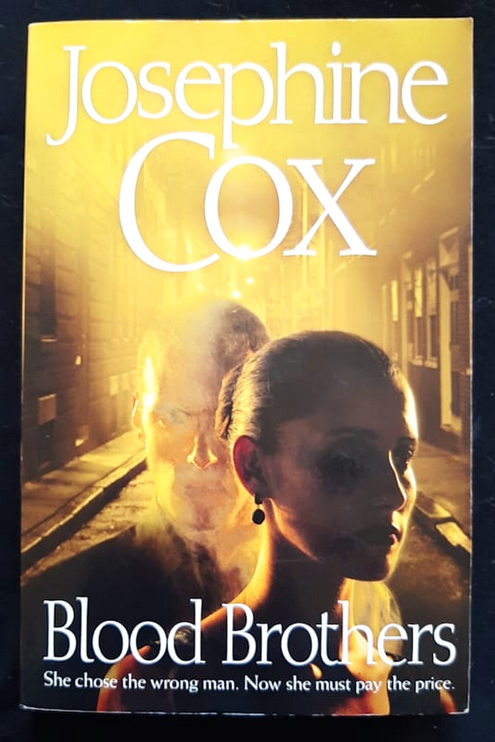 Front Cover Of Blood Brothers (Josephine Cox)