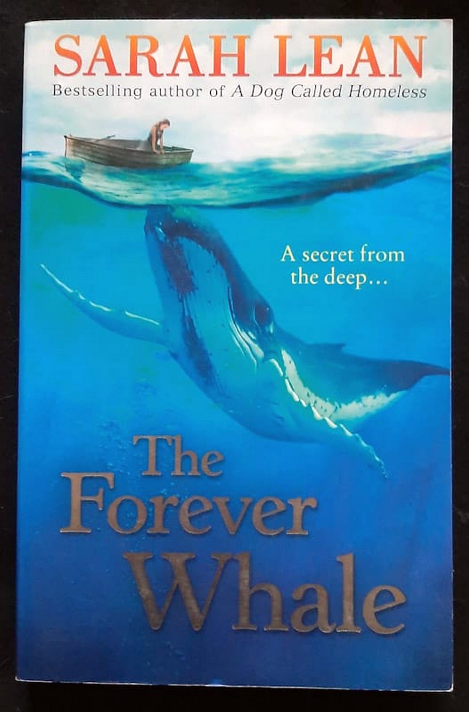 Front Cover Of The Forever Whale (Sarah Lean)