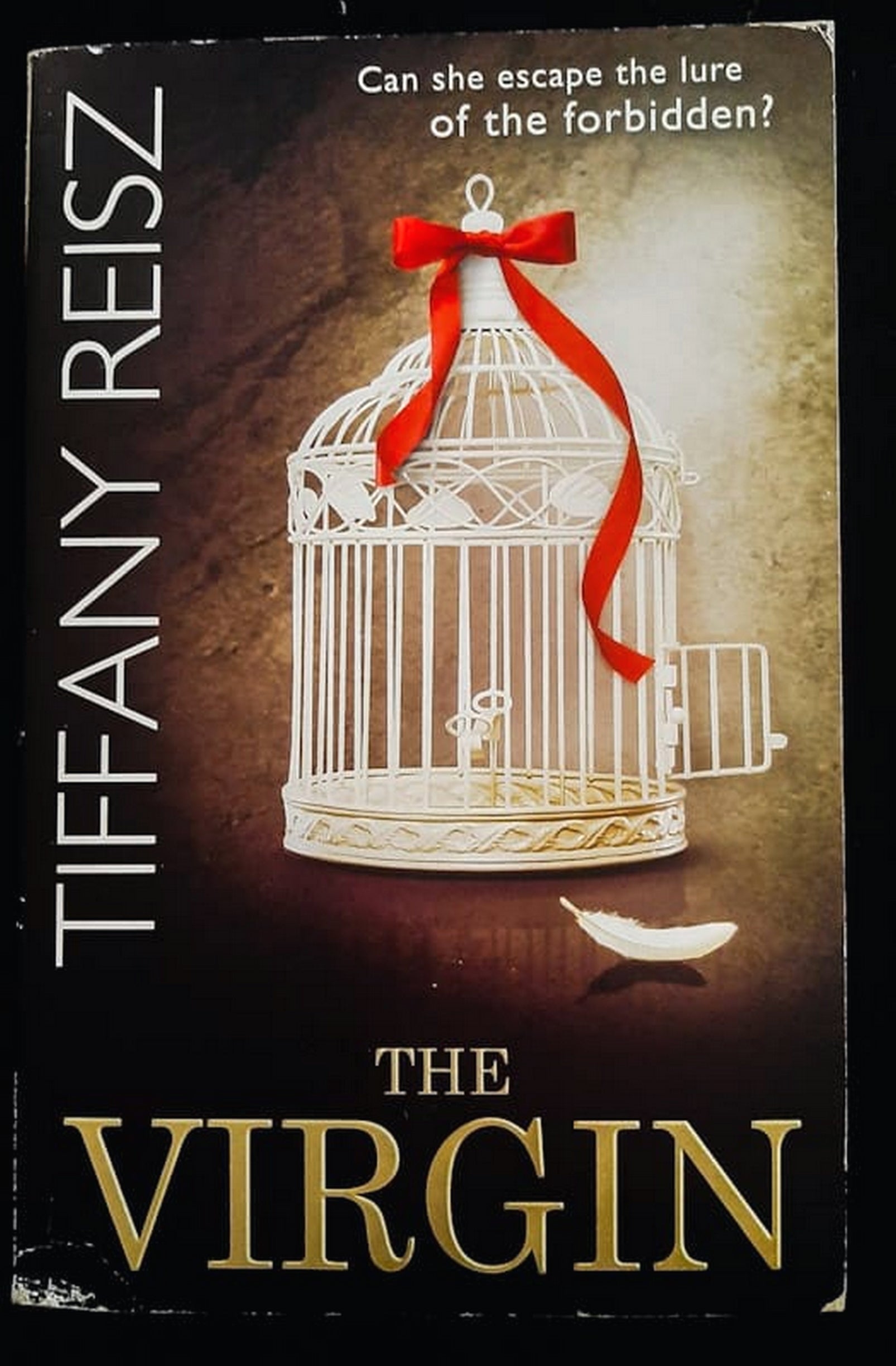 Front Cover Of The Virgin (The Original Sinners #7) (Tiffany Reisz)