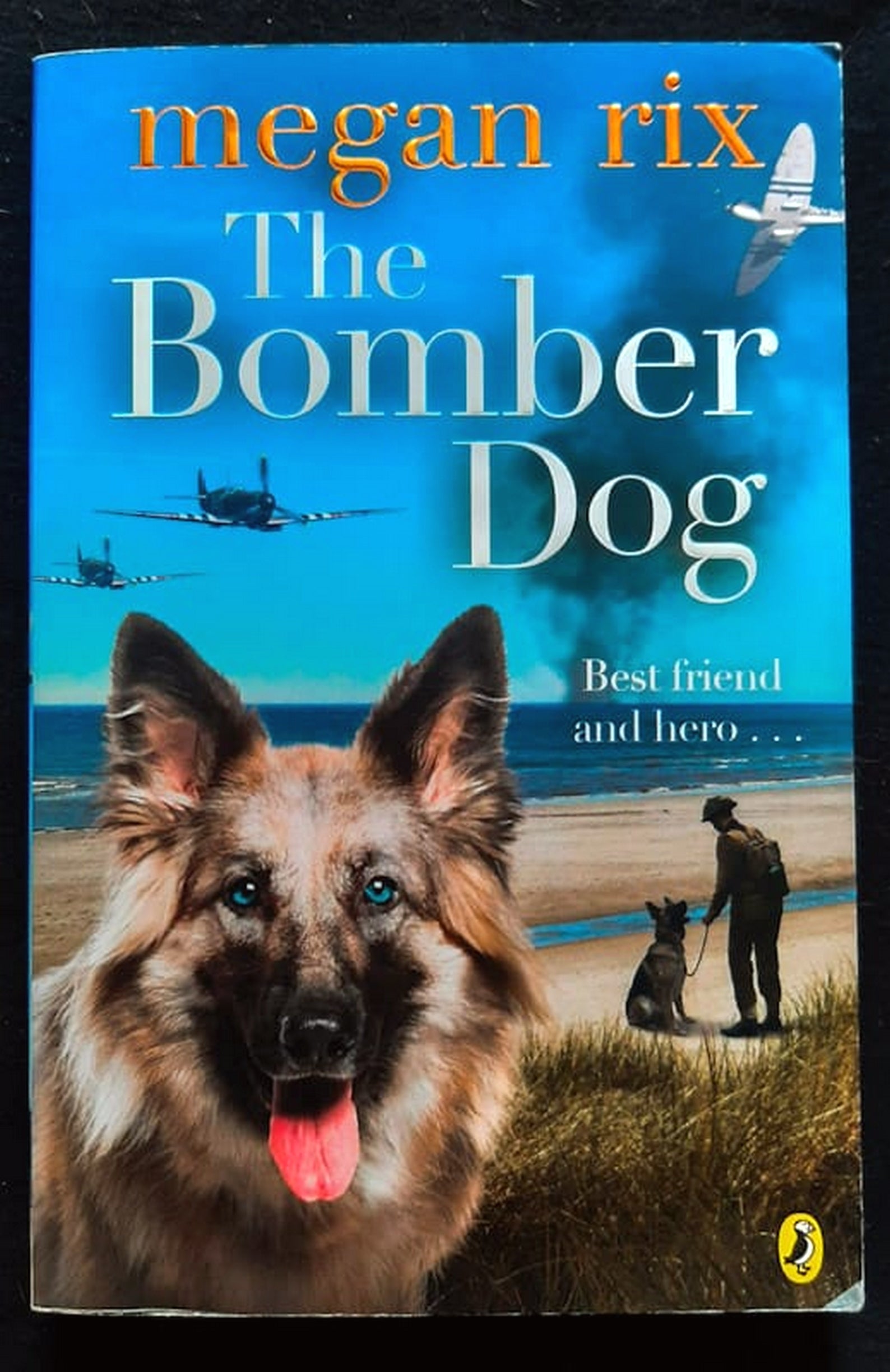Front Cover Of Bestselling Book The Bomber Dog (Megan Rix
)