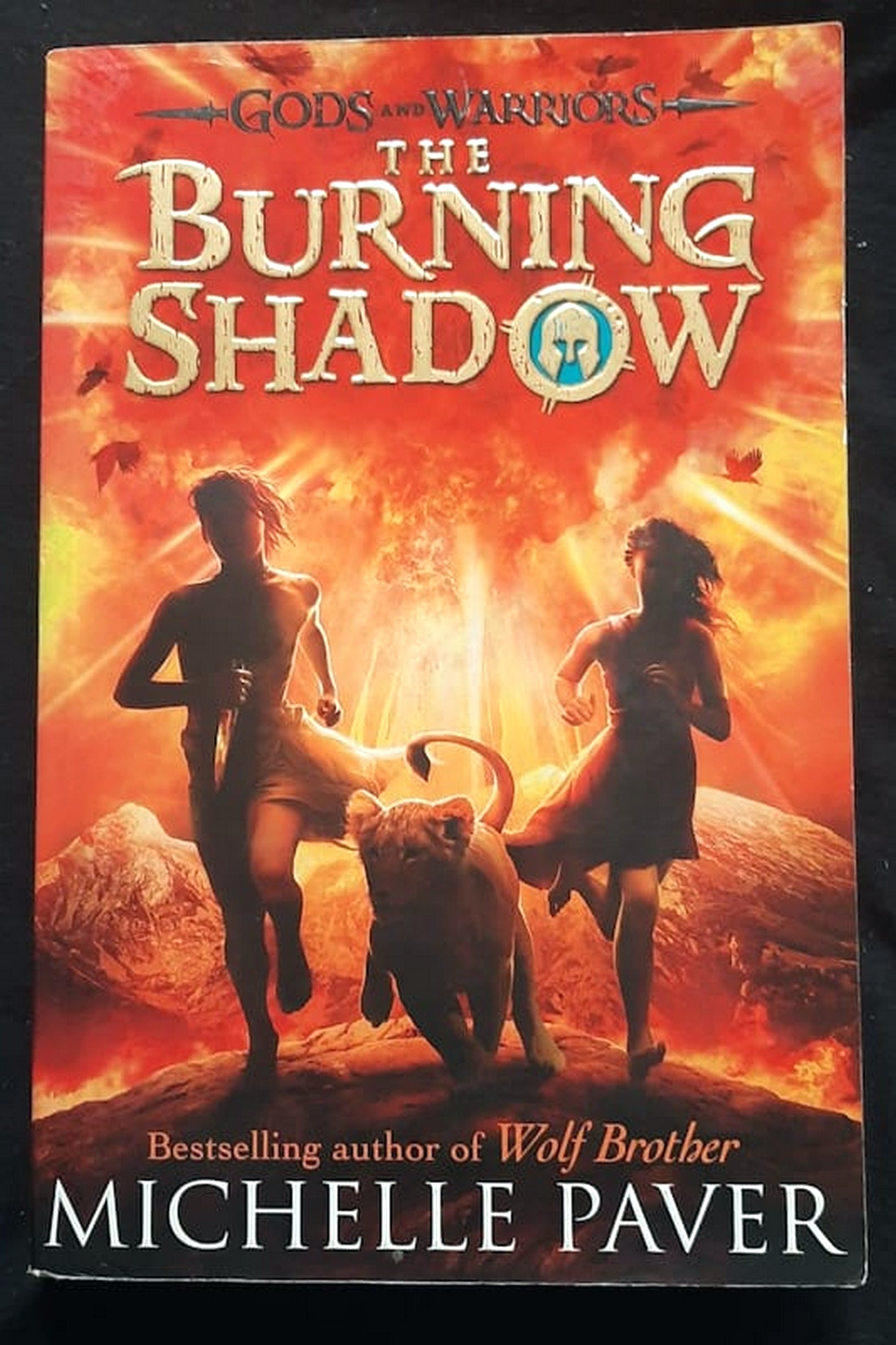Front Cover Of Bestselling Book The Burning Shadow (Gods And Warriors #2) (Michelle Paver
)