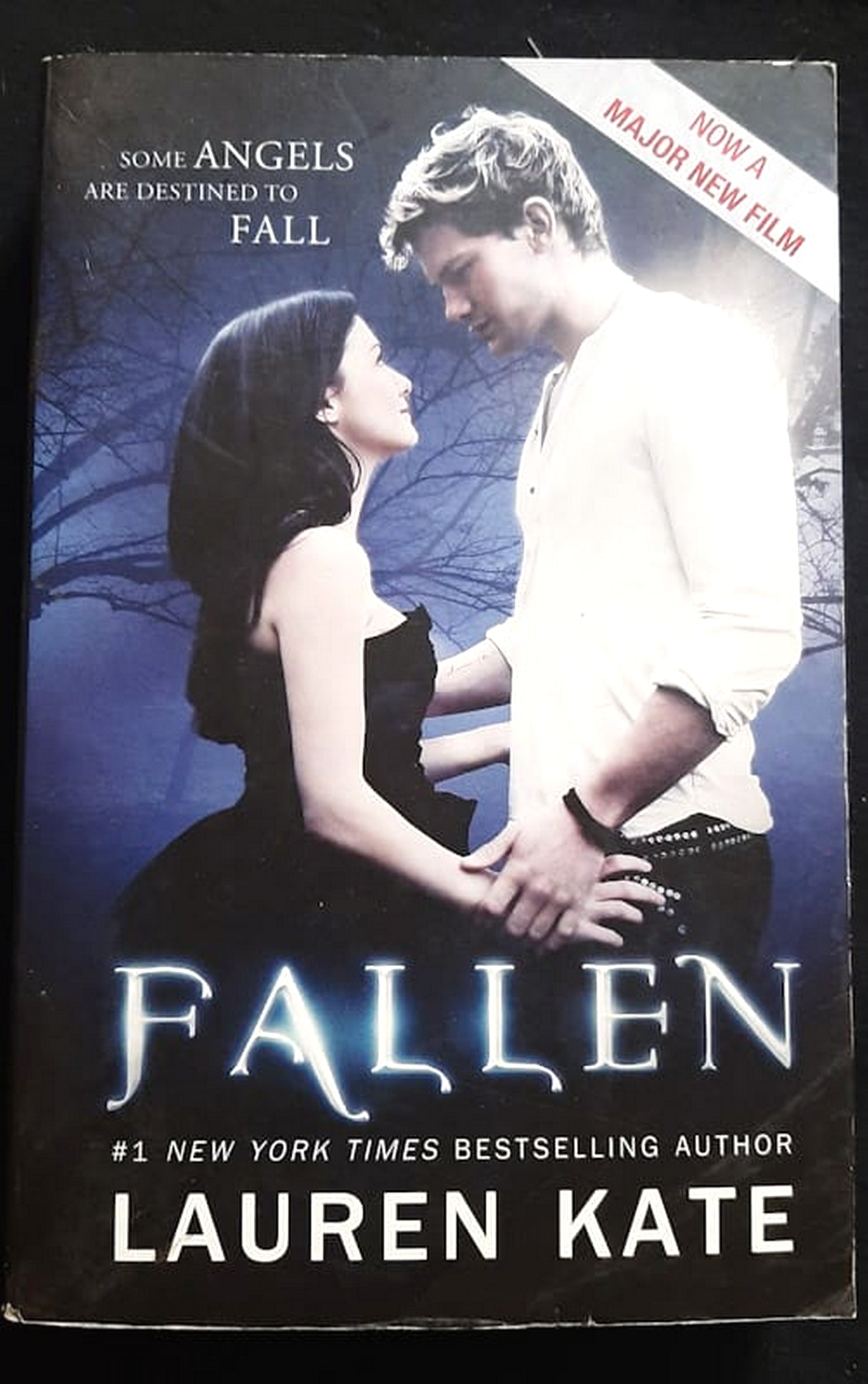 Front Cover Of Bestselling Book Fallen (Fallen #1) (Lauren Kate
)