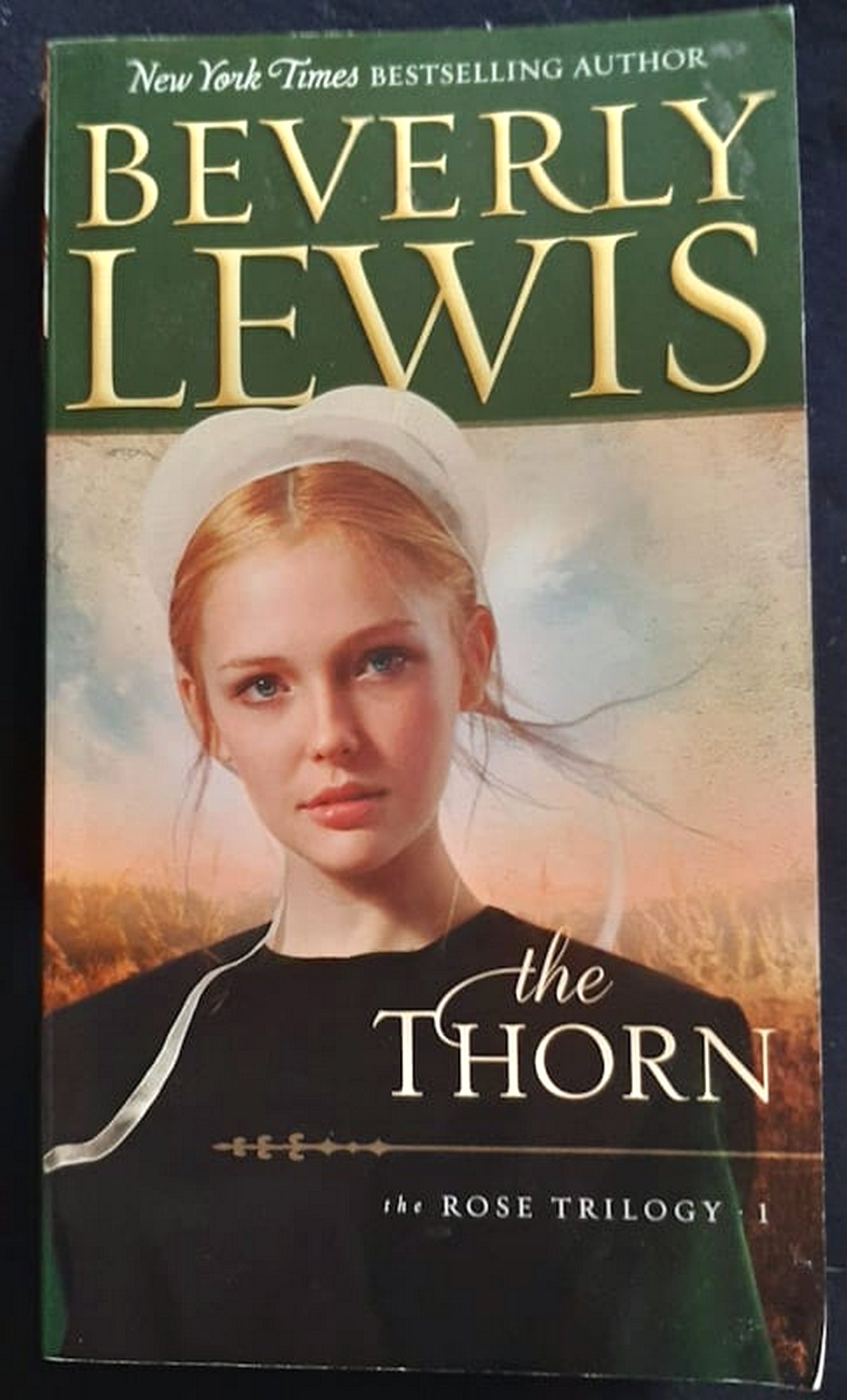 Front Cover Of Bestselling Book The Thorn (Rose Trilogy #1) (Beverly Lewis
)