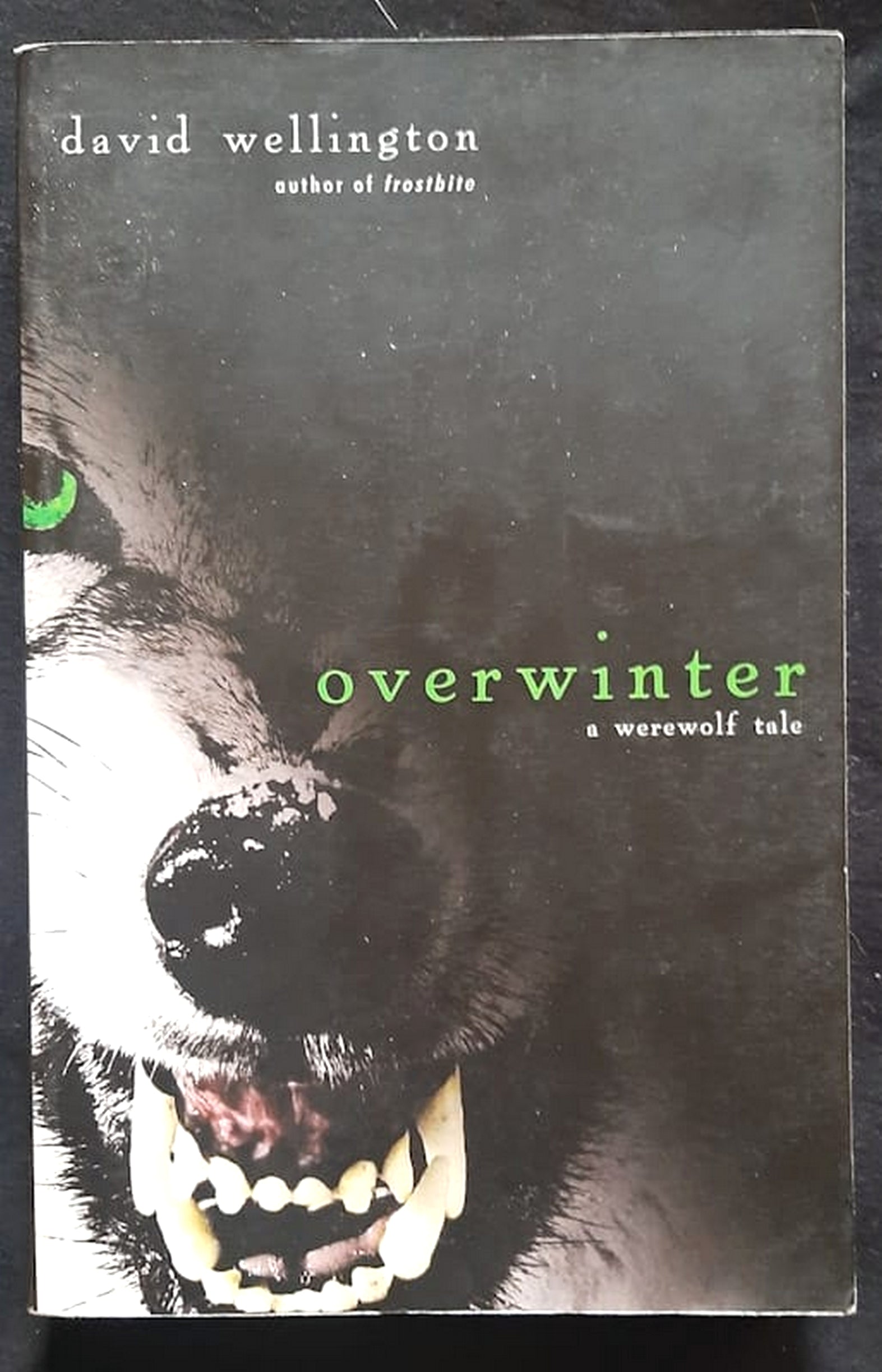 Front Cover Of Bestselling Book Overwinter (Cheyenne Clark #2) (David Wellington
)