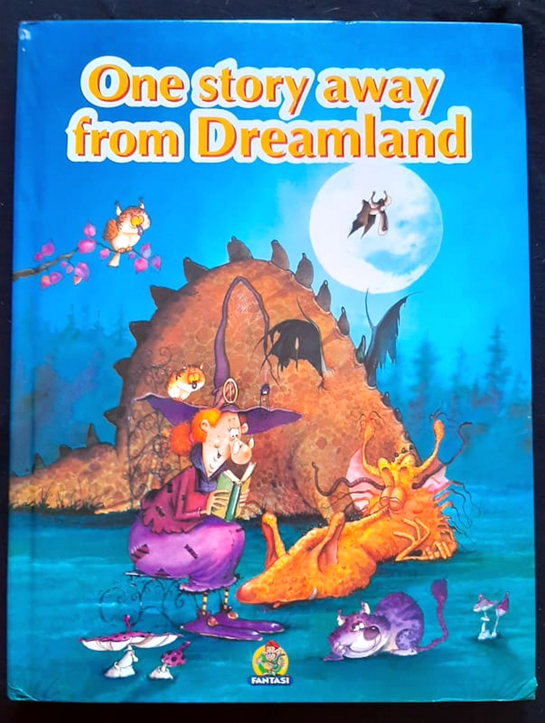 Front Cover Of Bestselling Book One Story Away From Dreamland (Extra Large Hardcover
)