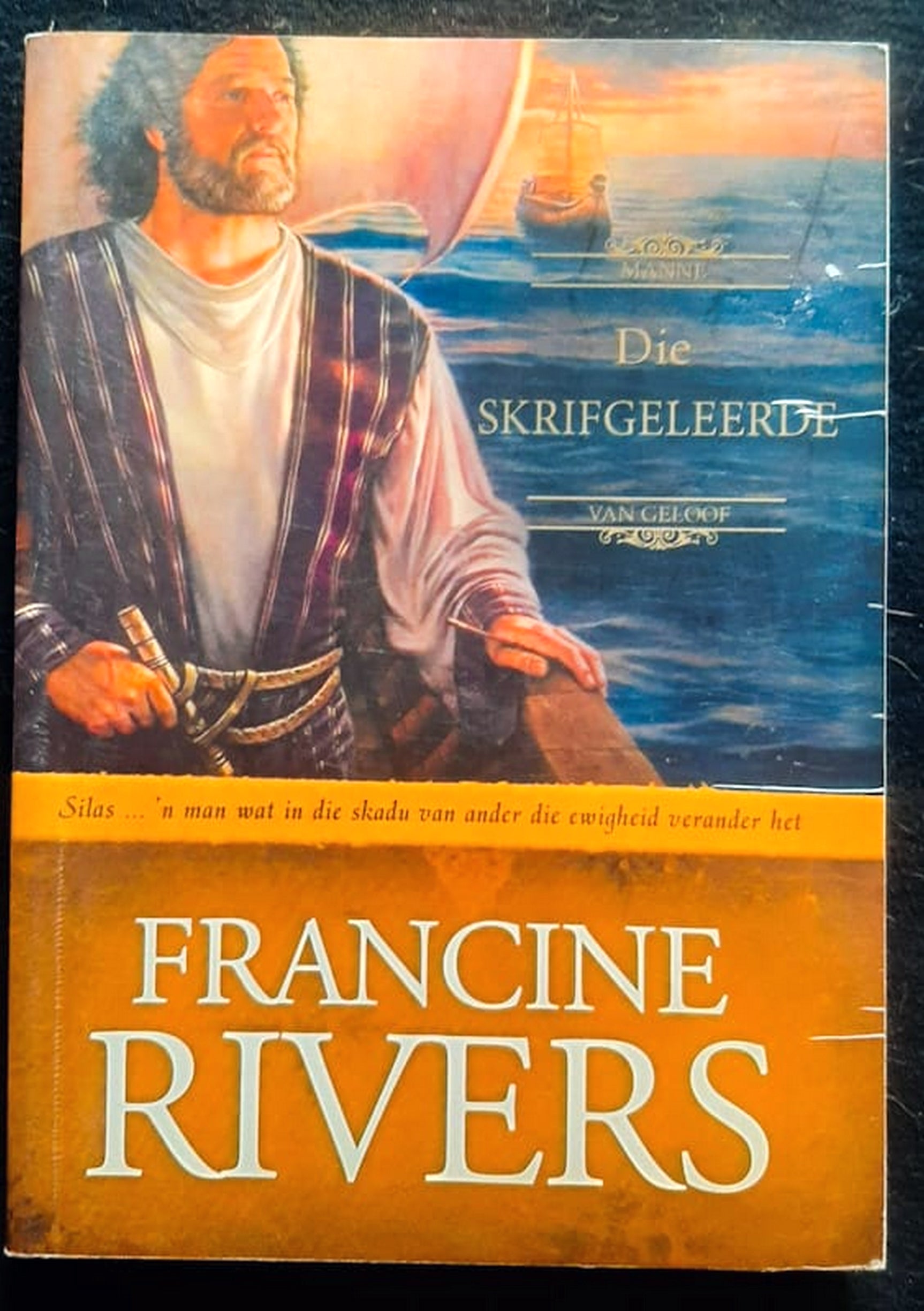 Front Cover Of Bestselling Book Die Skrifgeleerde (Sons Of Encouragement #5) (Francine Rivers
)