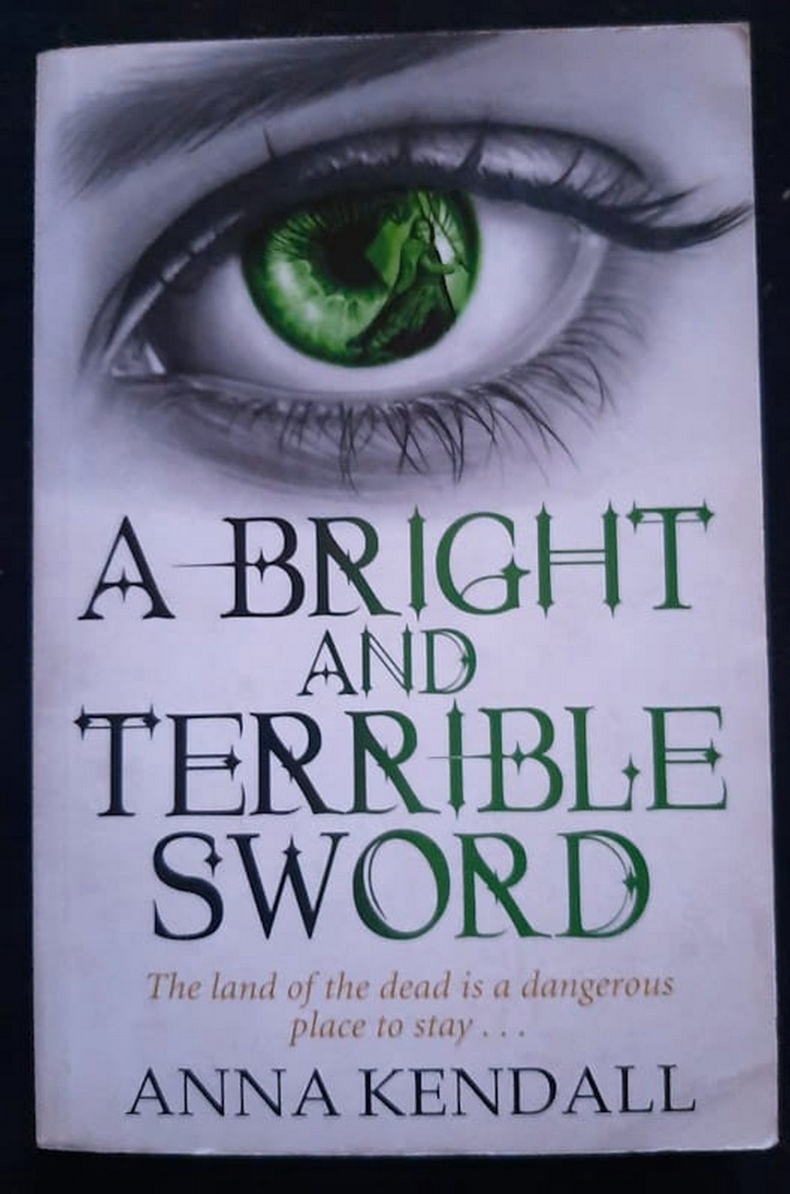Front Cover Of Bestselling Book A Bright And Terrible Sword (Soulvine Moor Chronicles #3) (Anna Kendall
)