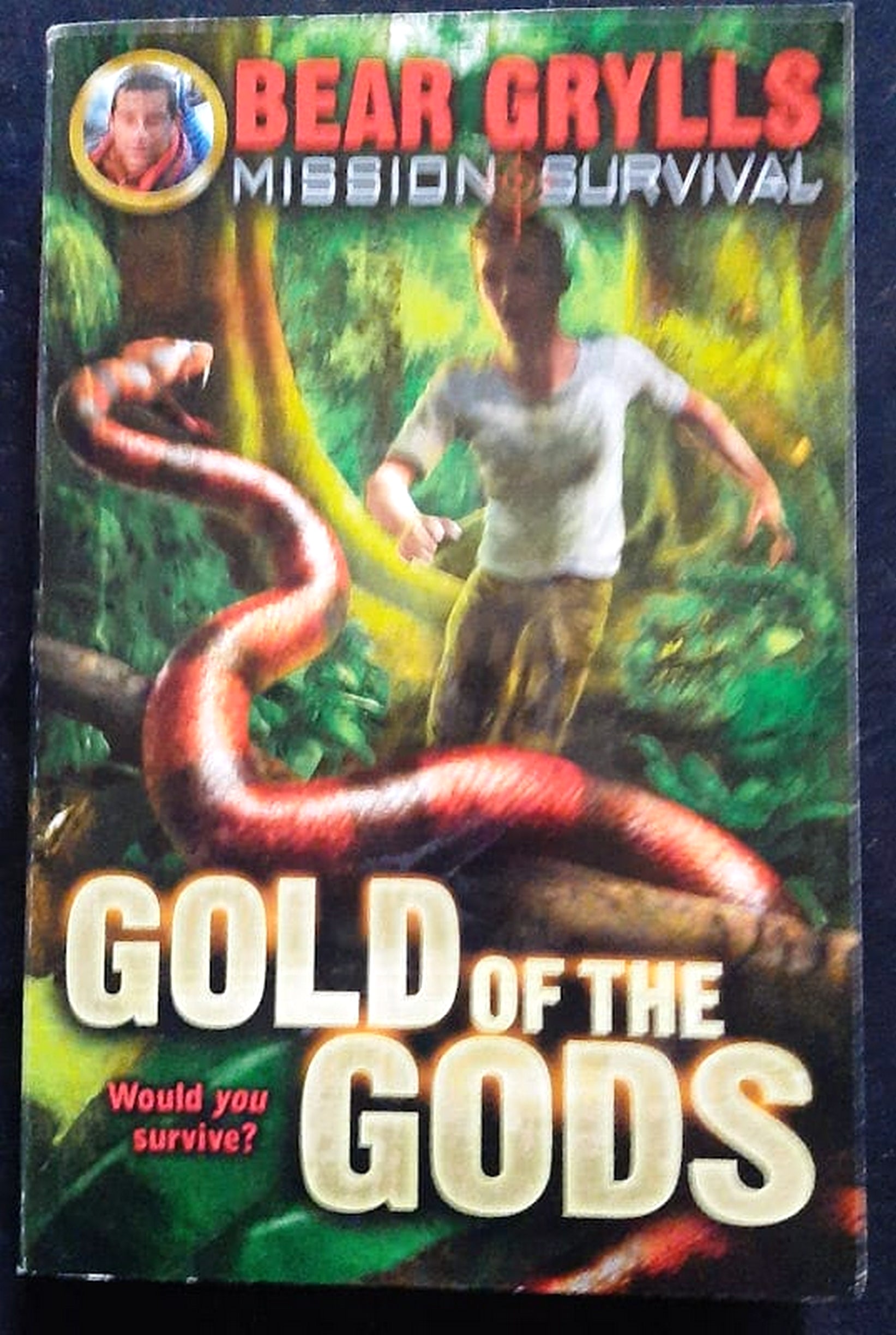 Front Cover Of Bestselling Book Gold Of The Gods (Mission Survival #1) (Bear Grylls
)