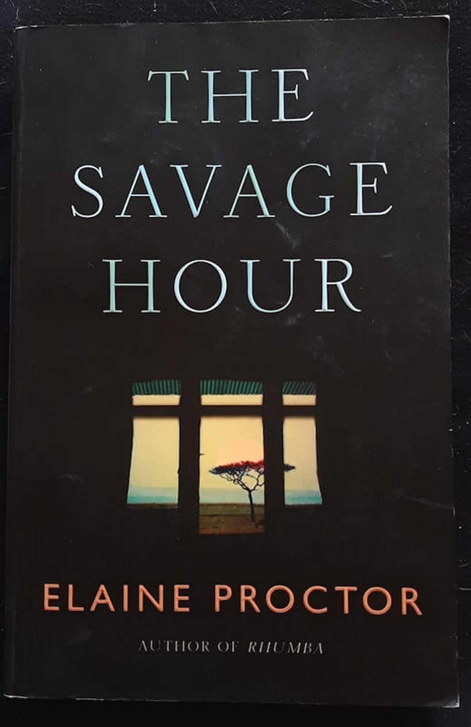Front Cover Of Bestselling Book The Savage Hour (Elaine Proctor
)