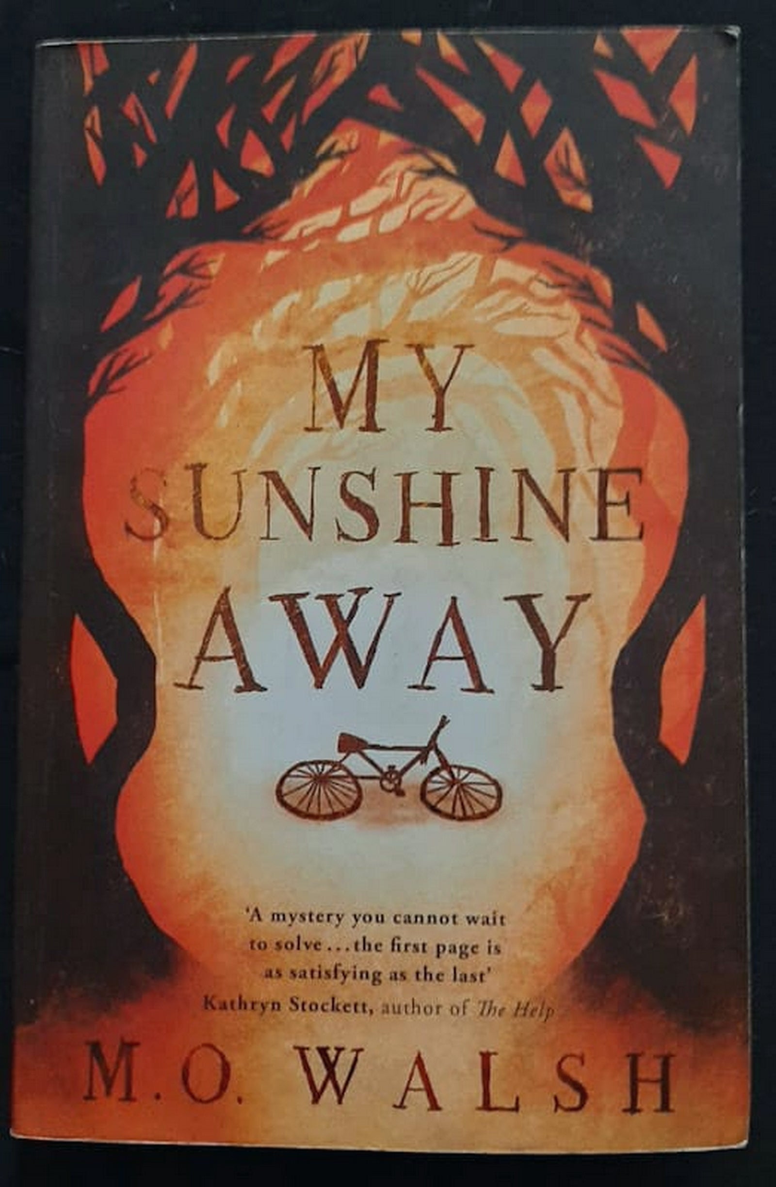 Front Cover Of Bestselling Book My Sunshine Away (M.O. Walsh
)