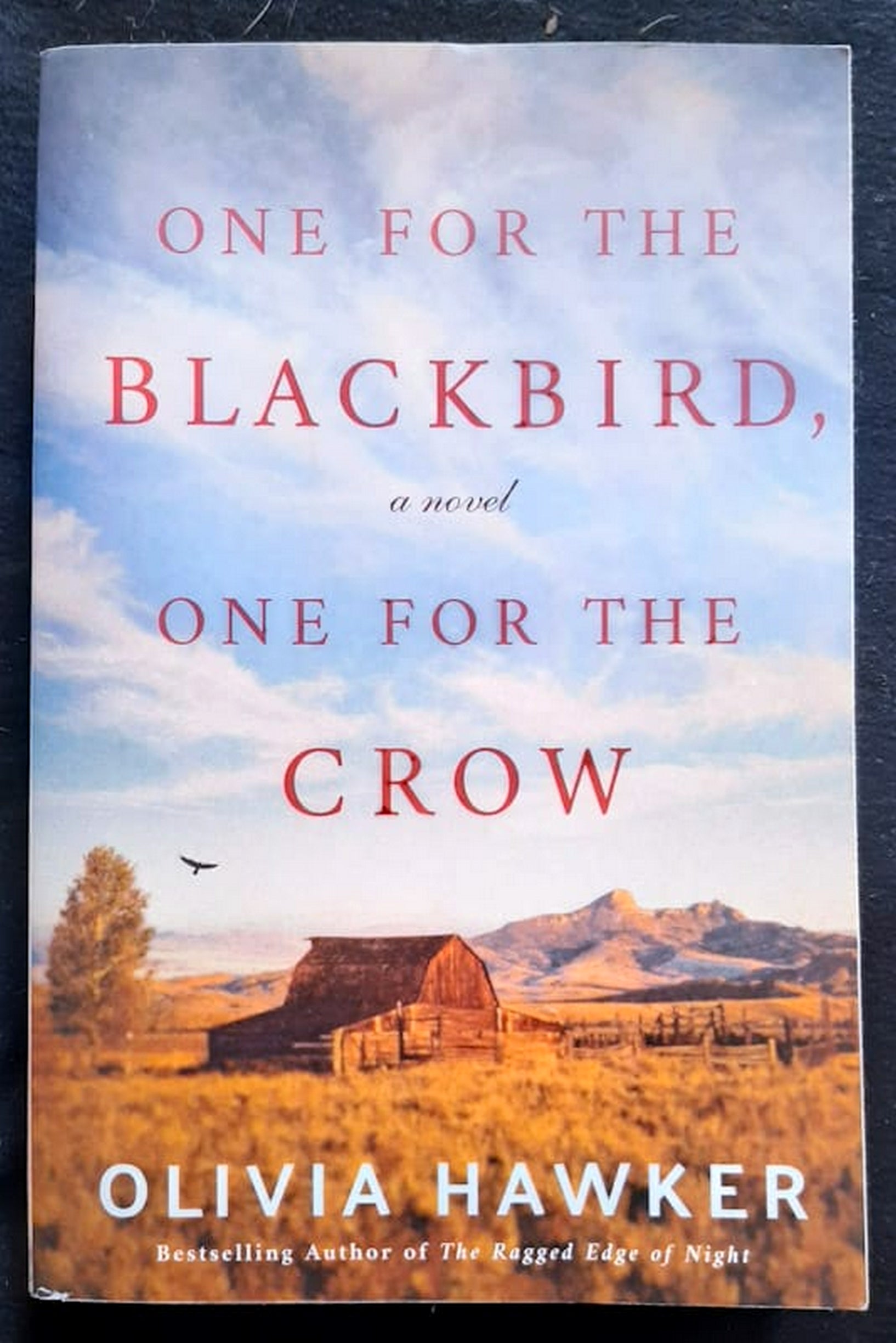 Front Cover Of Bestselling Book One For The Blackbird, One For The Crow (Olivia Hawker
)