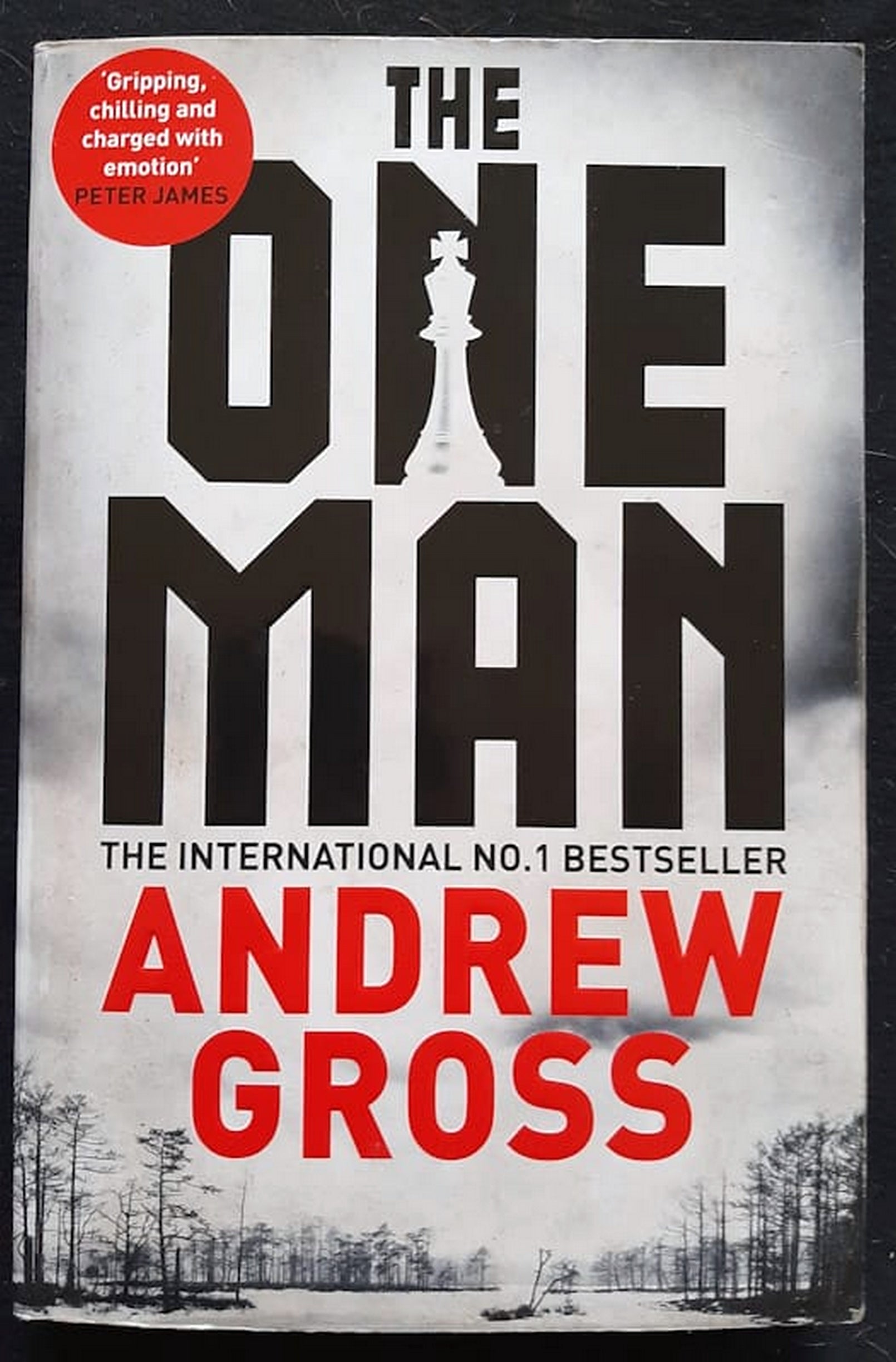 Front Cover Of Bestselling Book The One Man (Andrew Gross
)