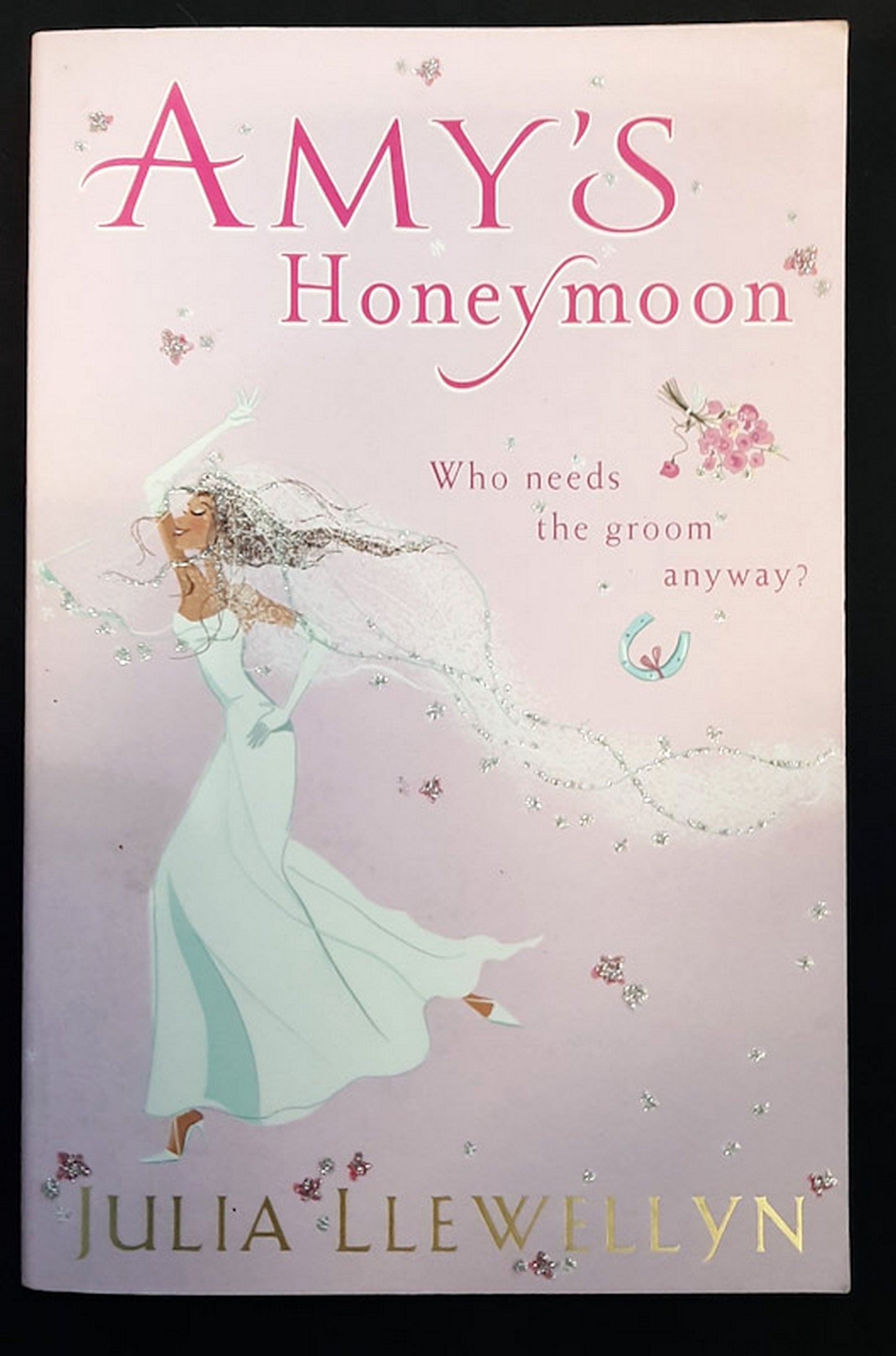 Front Cover Of Bestselling Book Amy'S Honeymoon (Julia Llewellyn
)