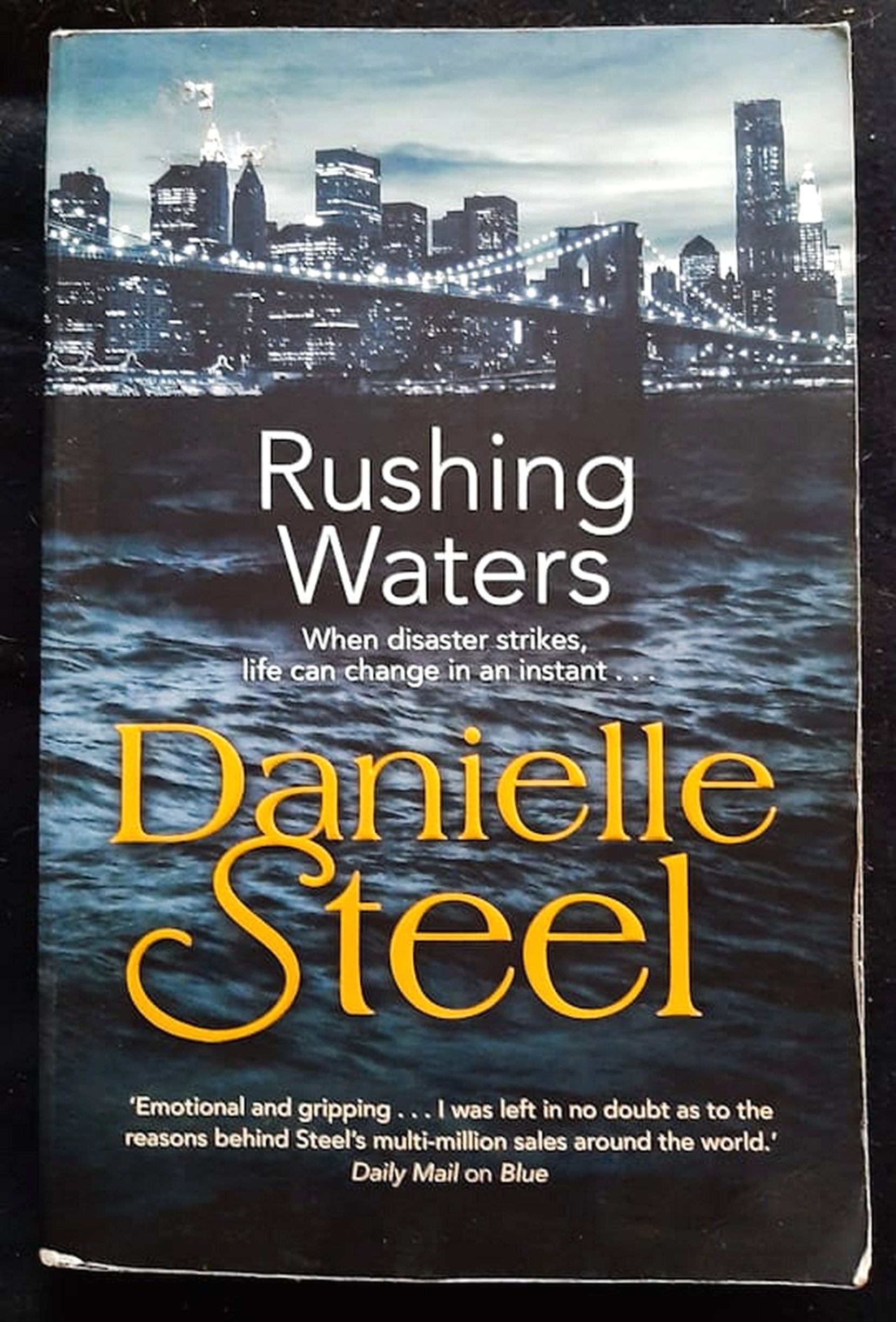 Front Cover Of Bestselling Book Rushing Waters (Danielle Steel
)
