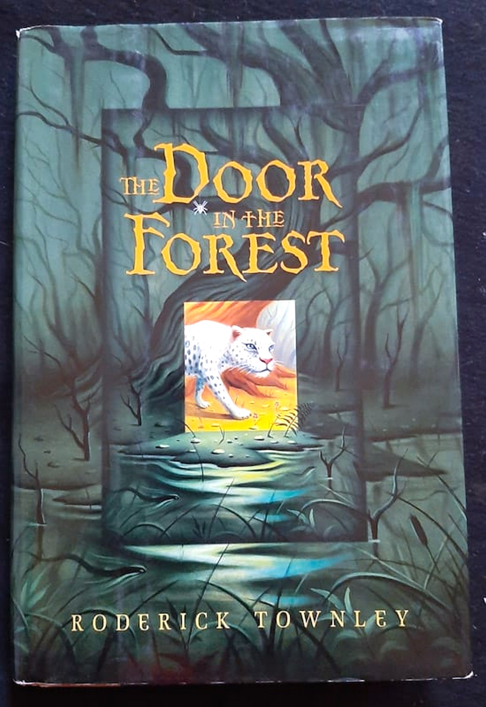 Front Cover Of Bestselling Book The Door In The Forest (Roderick Townley
)