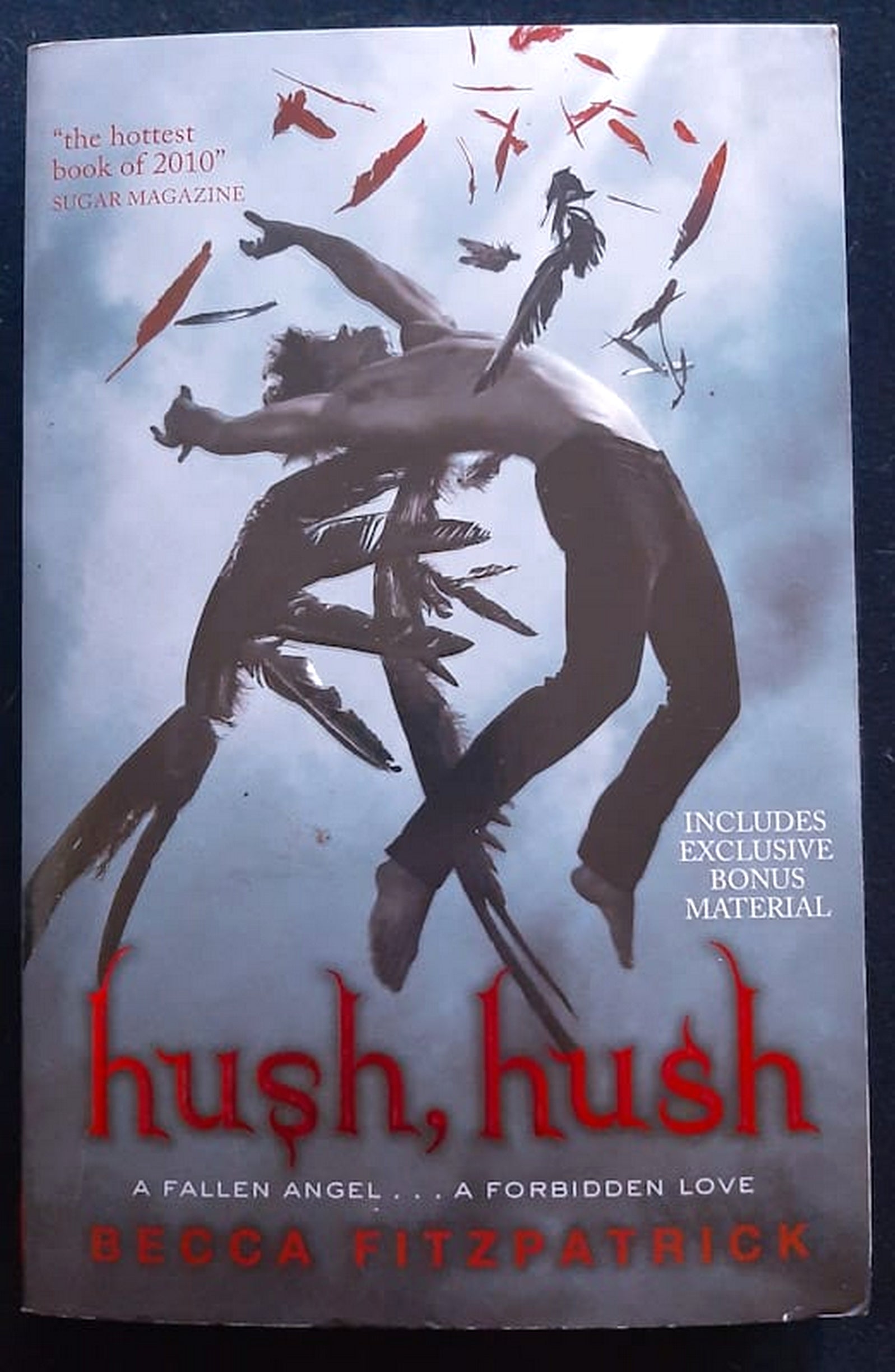 Front Cover Of Bestselling Book Hush, Hush (Hush, Hush #1) (Becca Fitzpatrick
)