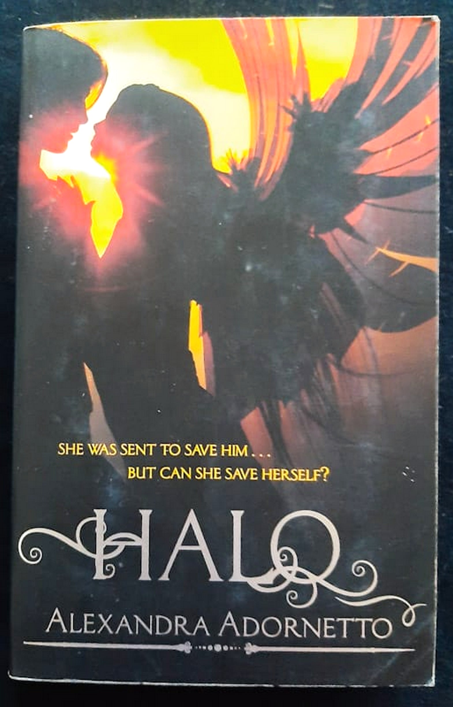 Front Cover Of Bestselling Book Halo (Halo #1) (Alexandra Adornetto
)