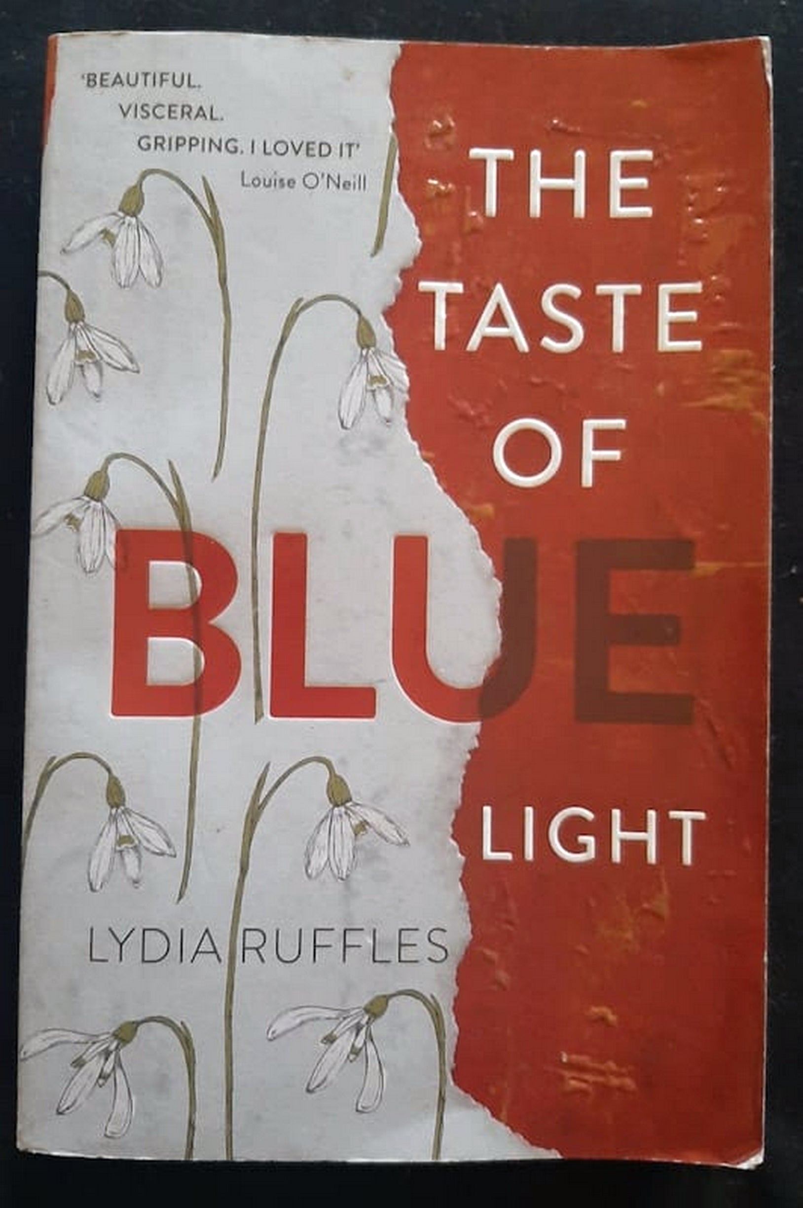 Front Cover Of Bestselling Book The Taste Of Blue Light (Lydia Ruffles
)