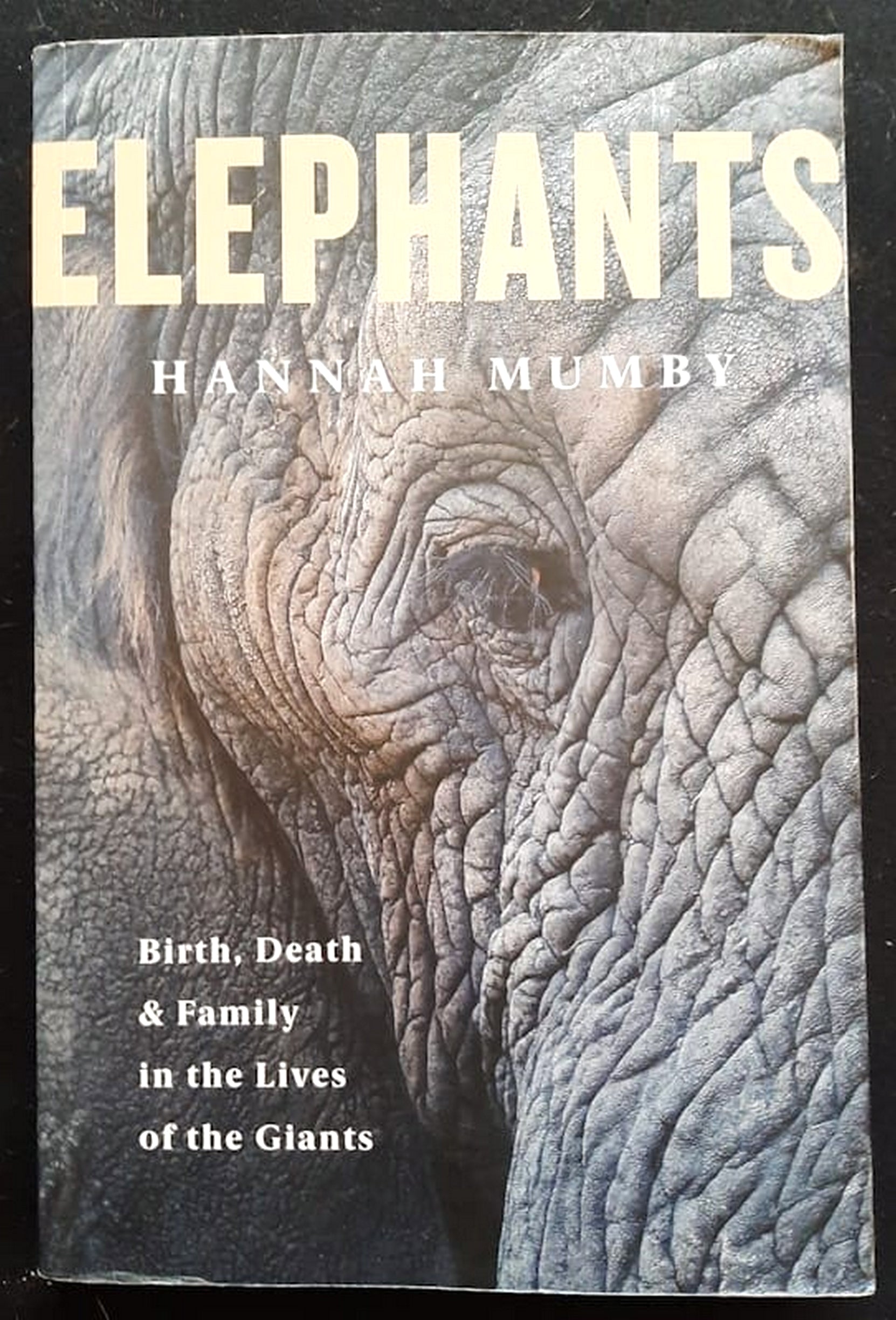 Front Cover Of Bestselling Book Elephants: Birth, Life, And Death In The World Of The Giants (Hannah Mumby
)