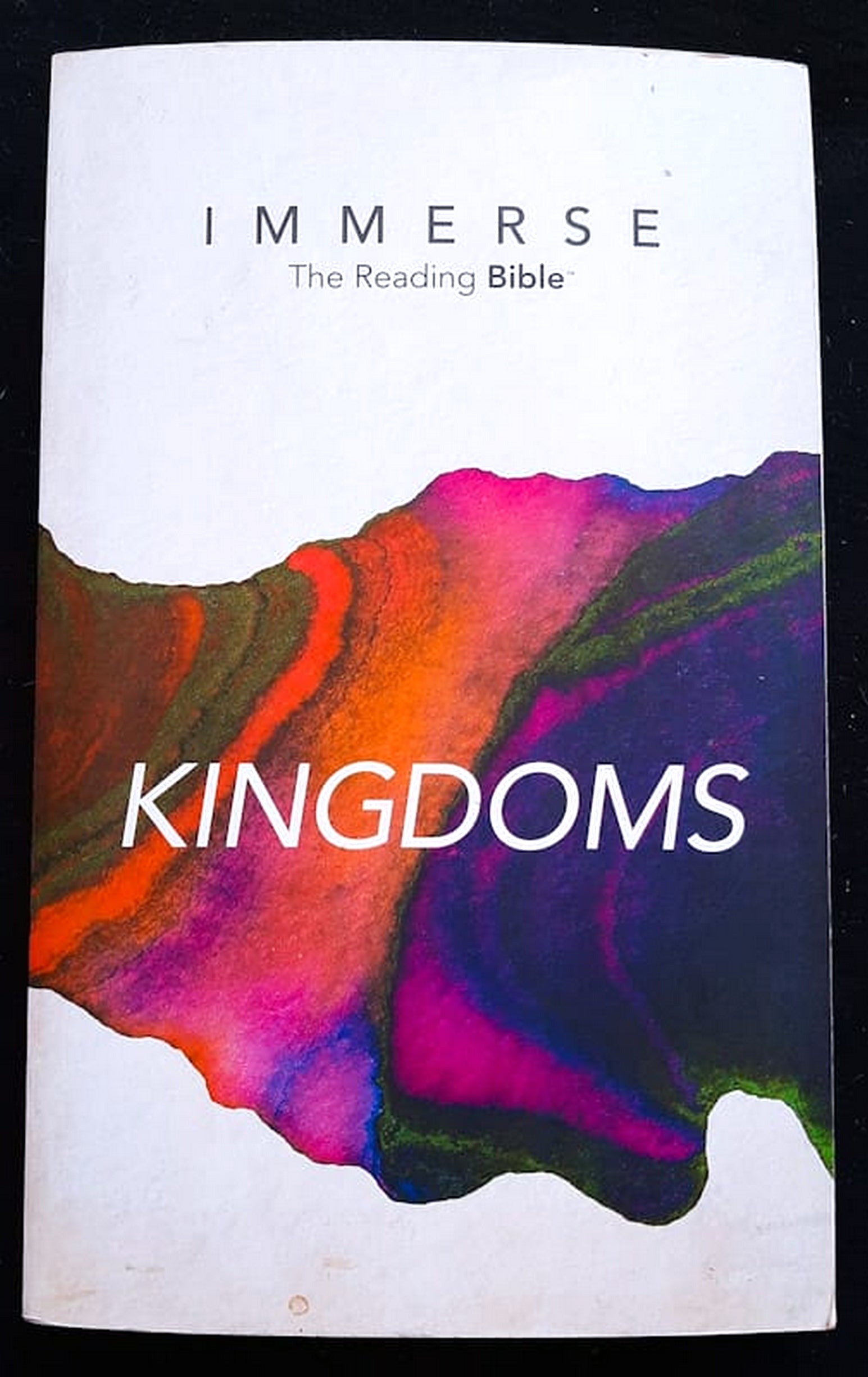 Front Cover Of Bestselling Book Immerse: The Reading Bible: Kingdoms (Medium Paperback)