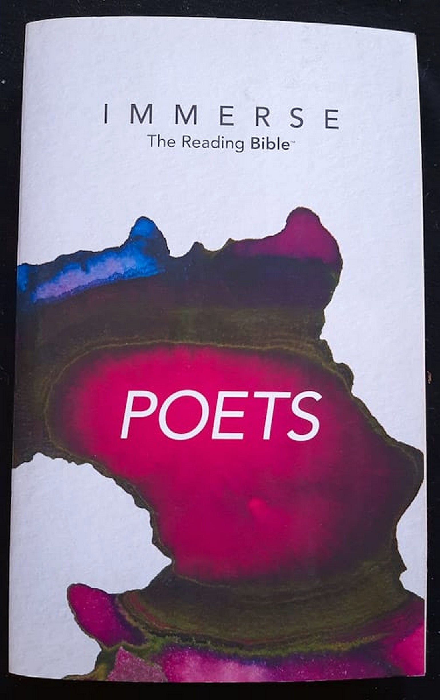 Front Cover Of Bestselling Book Immerse The Reading Bible: Poets (Medium Paperback)