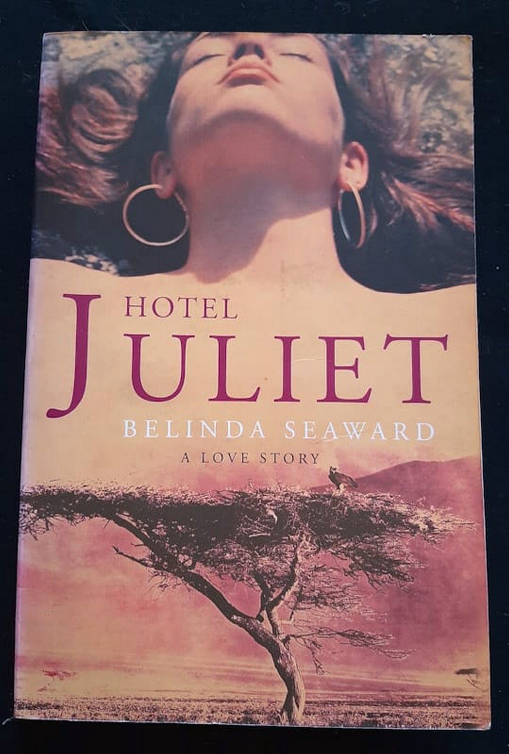 Front Cover Of Bestselling Book Hotel Juliet (Belinda Seaward
)