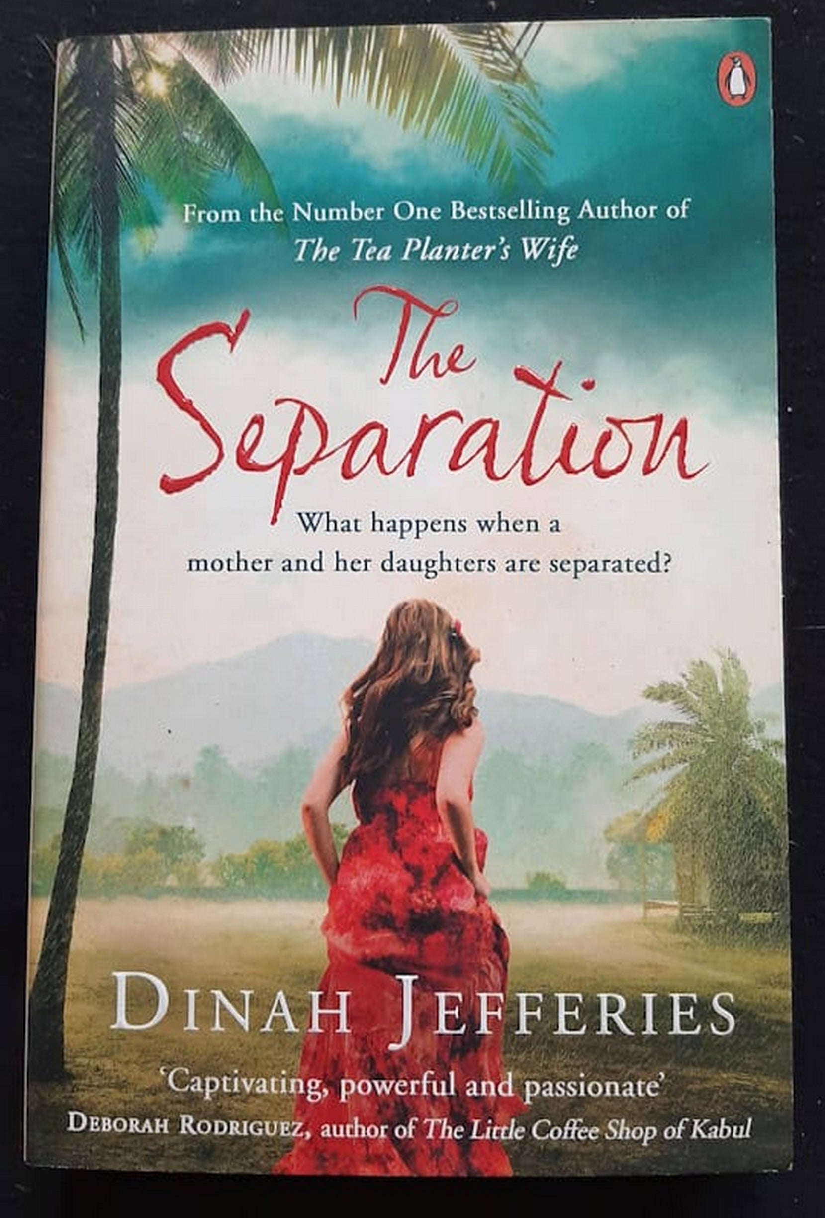 Front Cover Of Bestselling Book The Separation (Dinah Jefferies
)