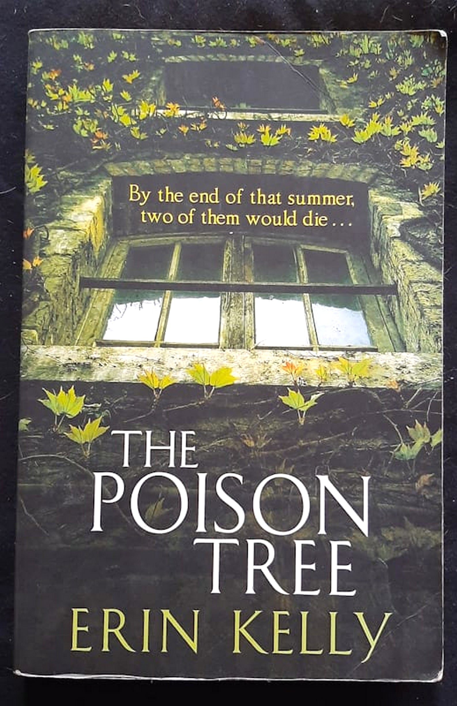 Front Cover Of Bestselling Book The Poison Tree (Erin Kelly
)