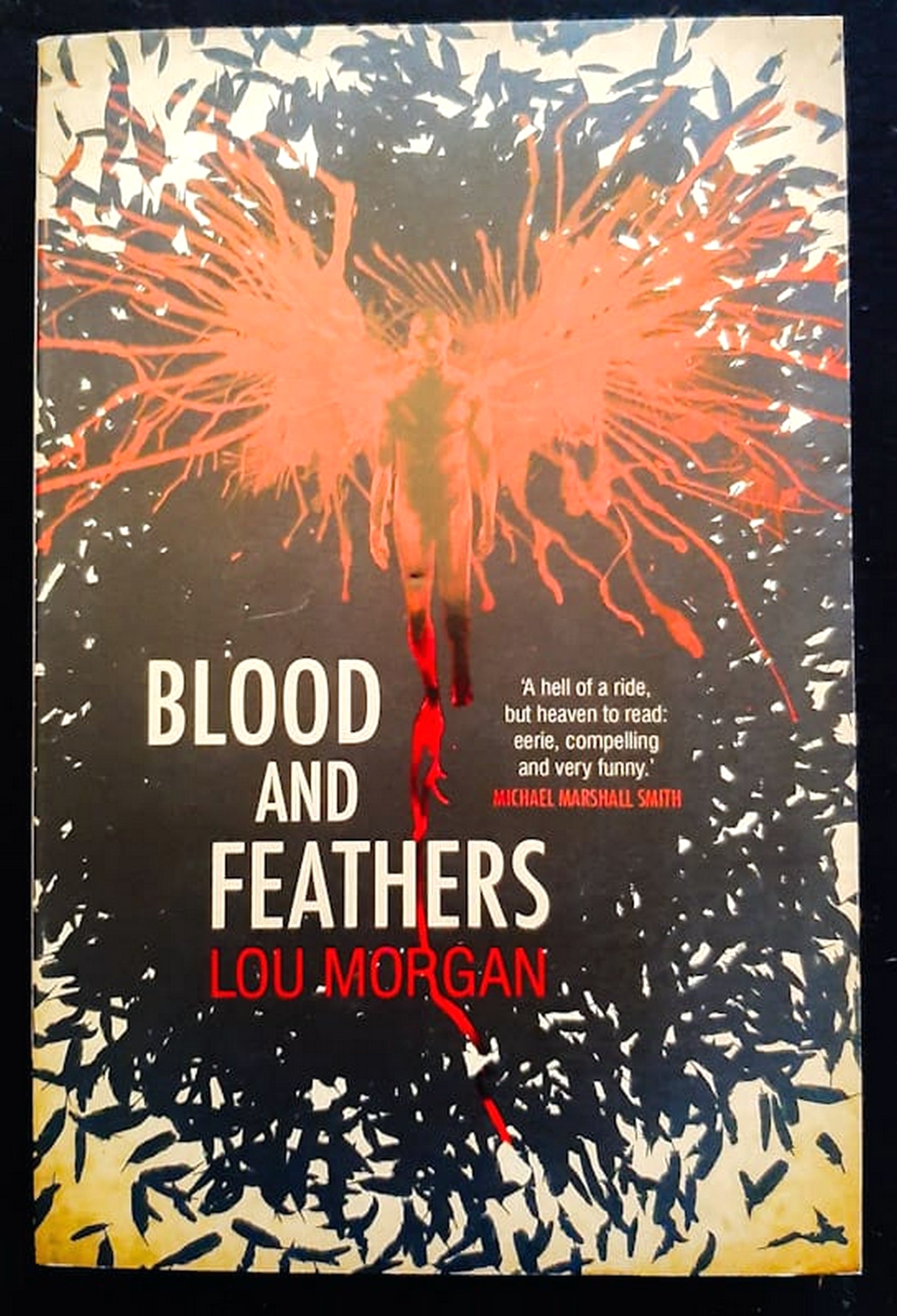 Front Cover Of Bestselling Book Blood And Feathers (Blood And Feathers #1) (Lou Morgan,
)