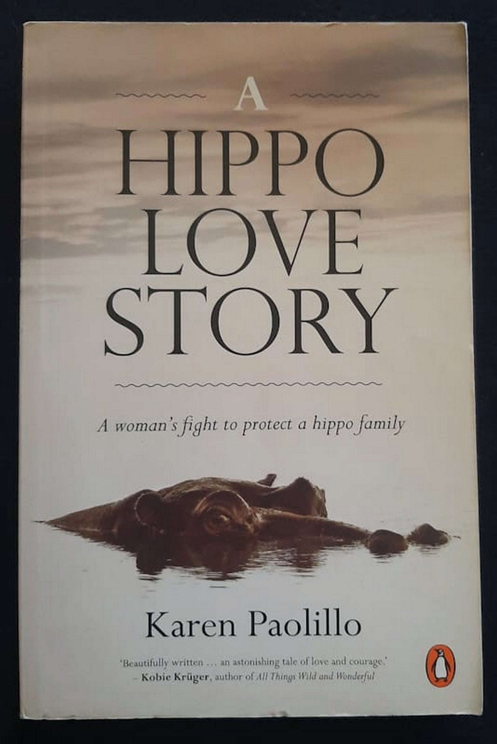 Front Cover Of Bestselling Book A Hippo Love Story (Karen Paolillo
)