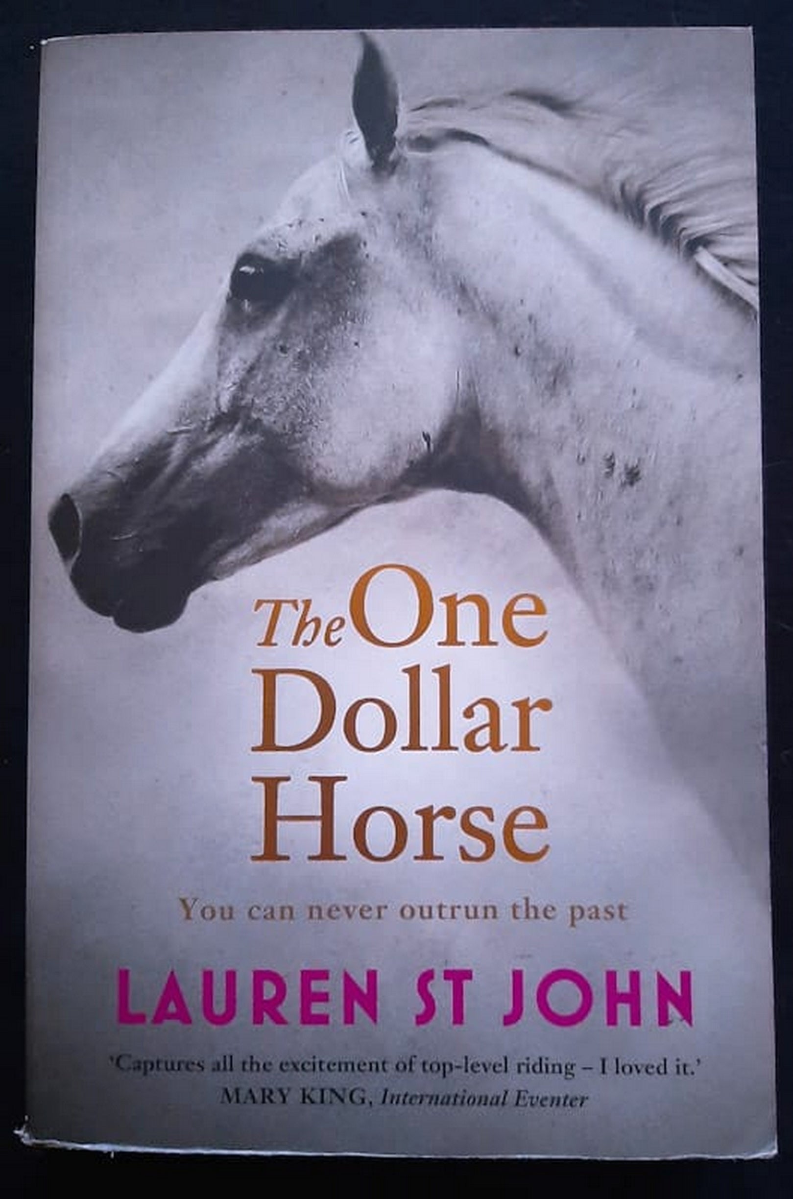 Front Cover Of Bestselling Book The One Dollar Horse (Lauren St John
)