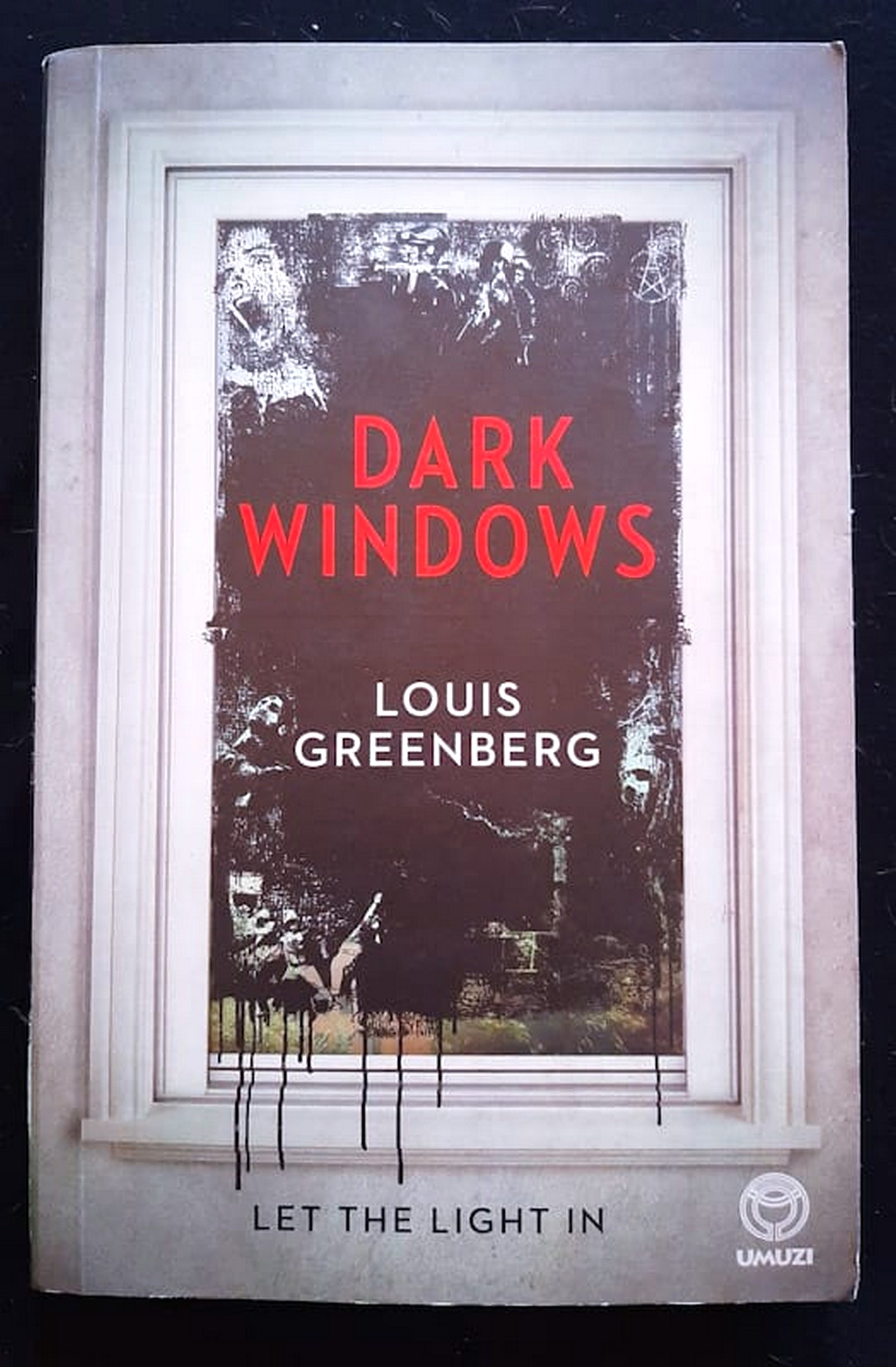 Front Cover Of Bestselling Book Dark Windows (Louis Greenberg
)