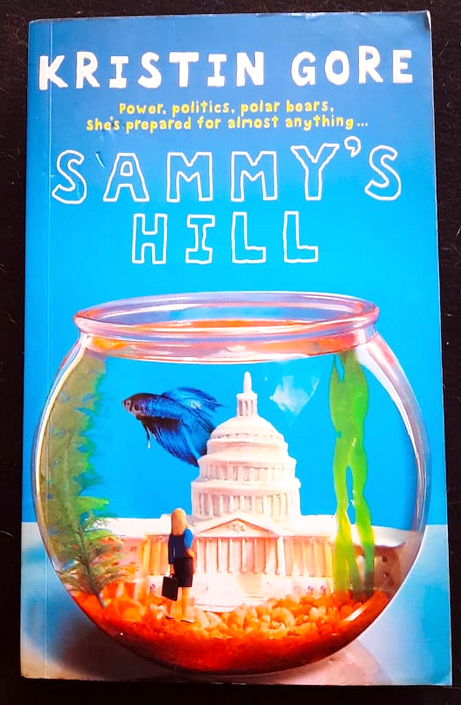 Front Cover Of Bestselling Book Sammy'S Hill (Samantha Joyce #1) (Kristin Gore
)