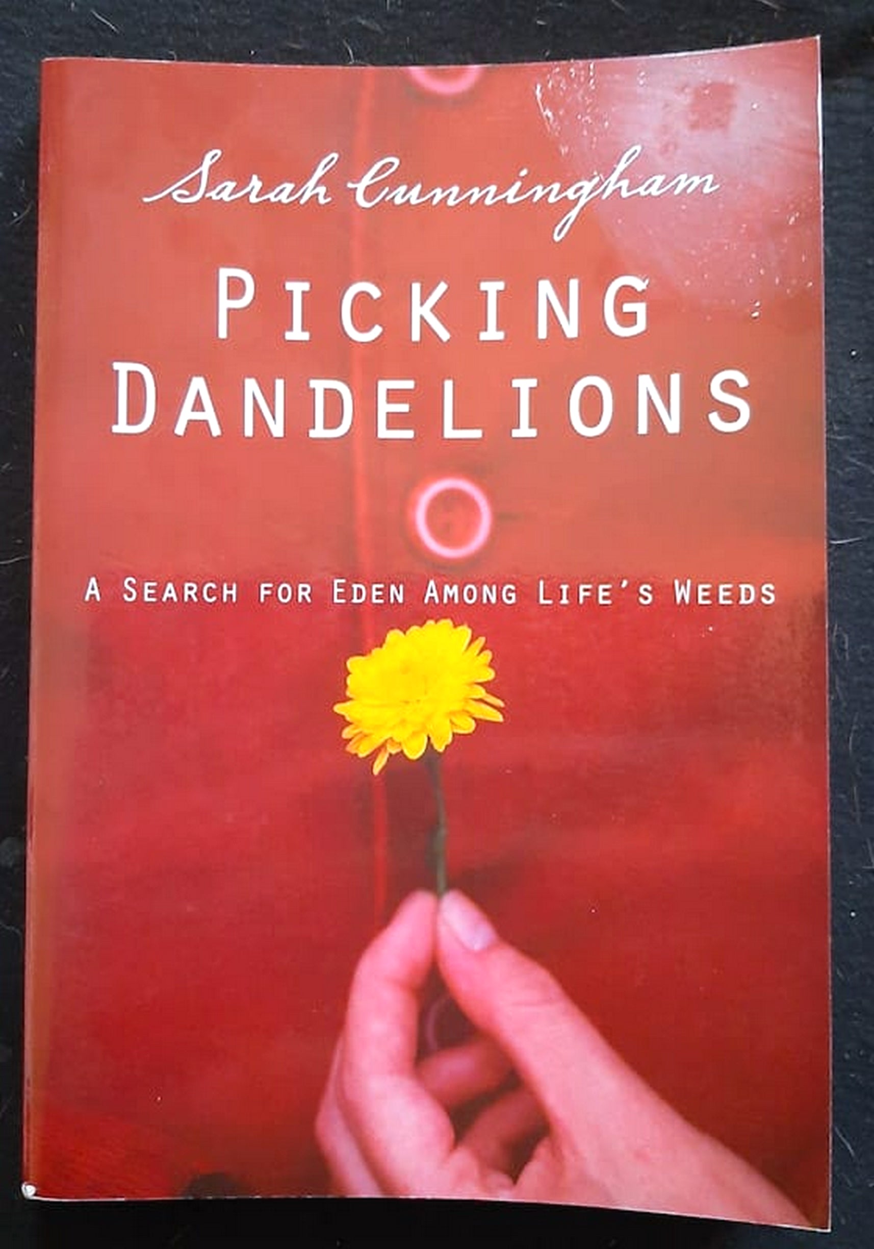 Front Cover Of Bestselling Book Picking Dandelions: A Search For Eden Among Life'S Weeds (Sarah Cunningham
)