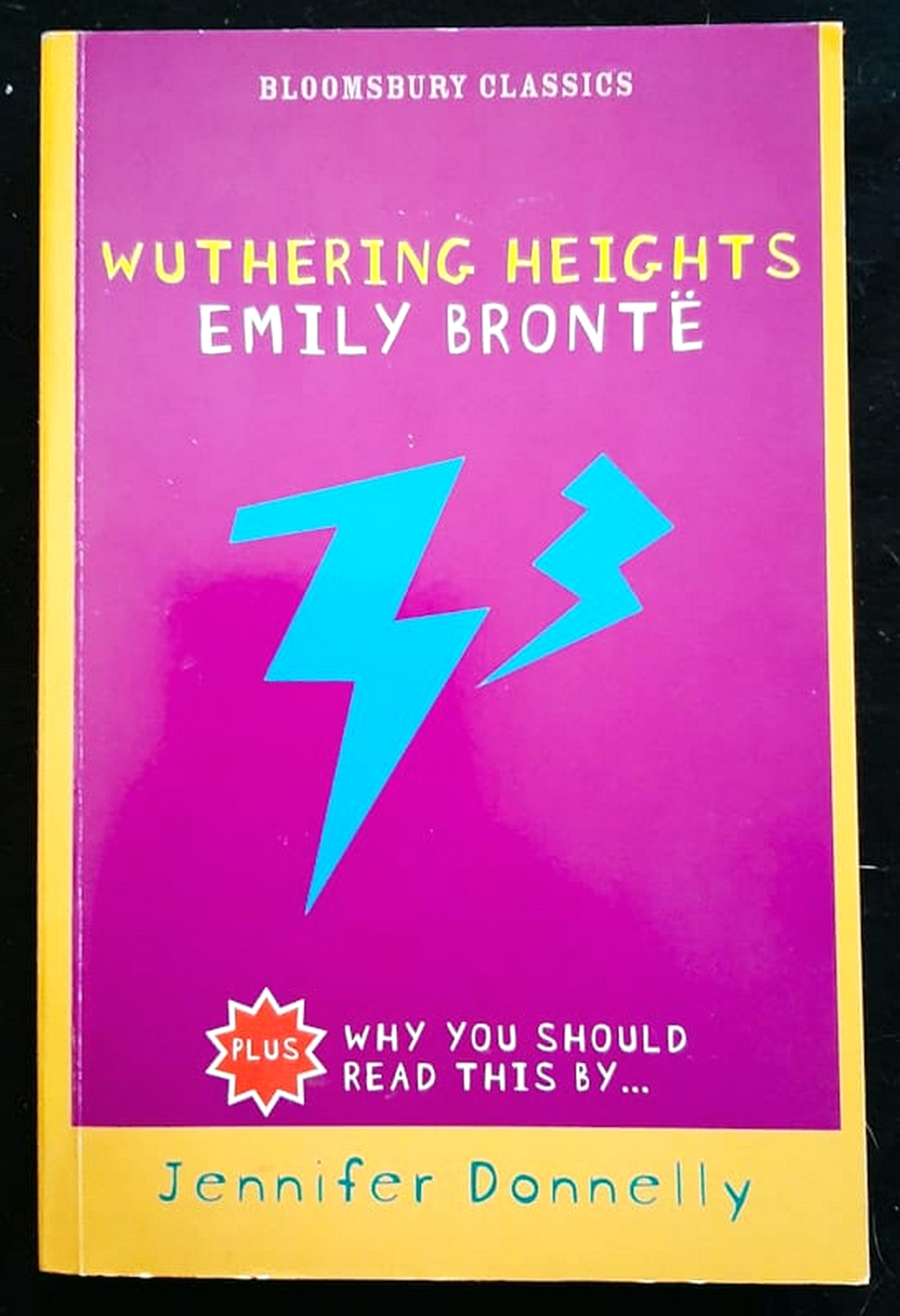 Front Cover Of Bestselling Book Wuthering Heights Emily Bronte Plus Why You Should Read This (Emily Bronte, Jennifer Donnelly
)