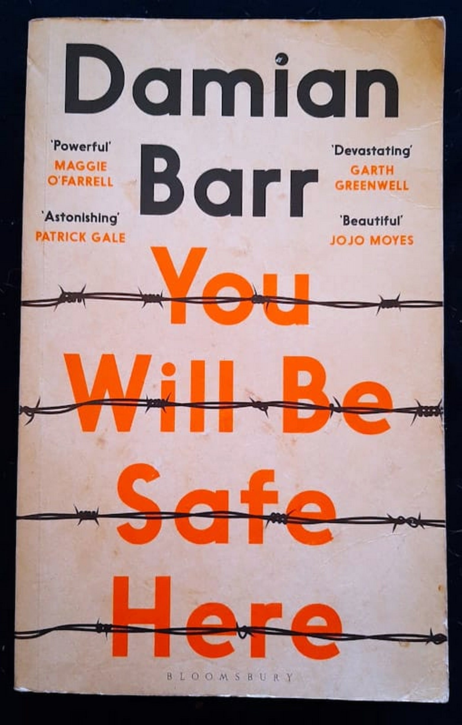 Front Cover Of Bestselling Book You Will Be Safe Here (Damian Barr
)