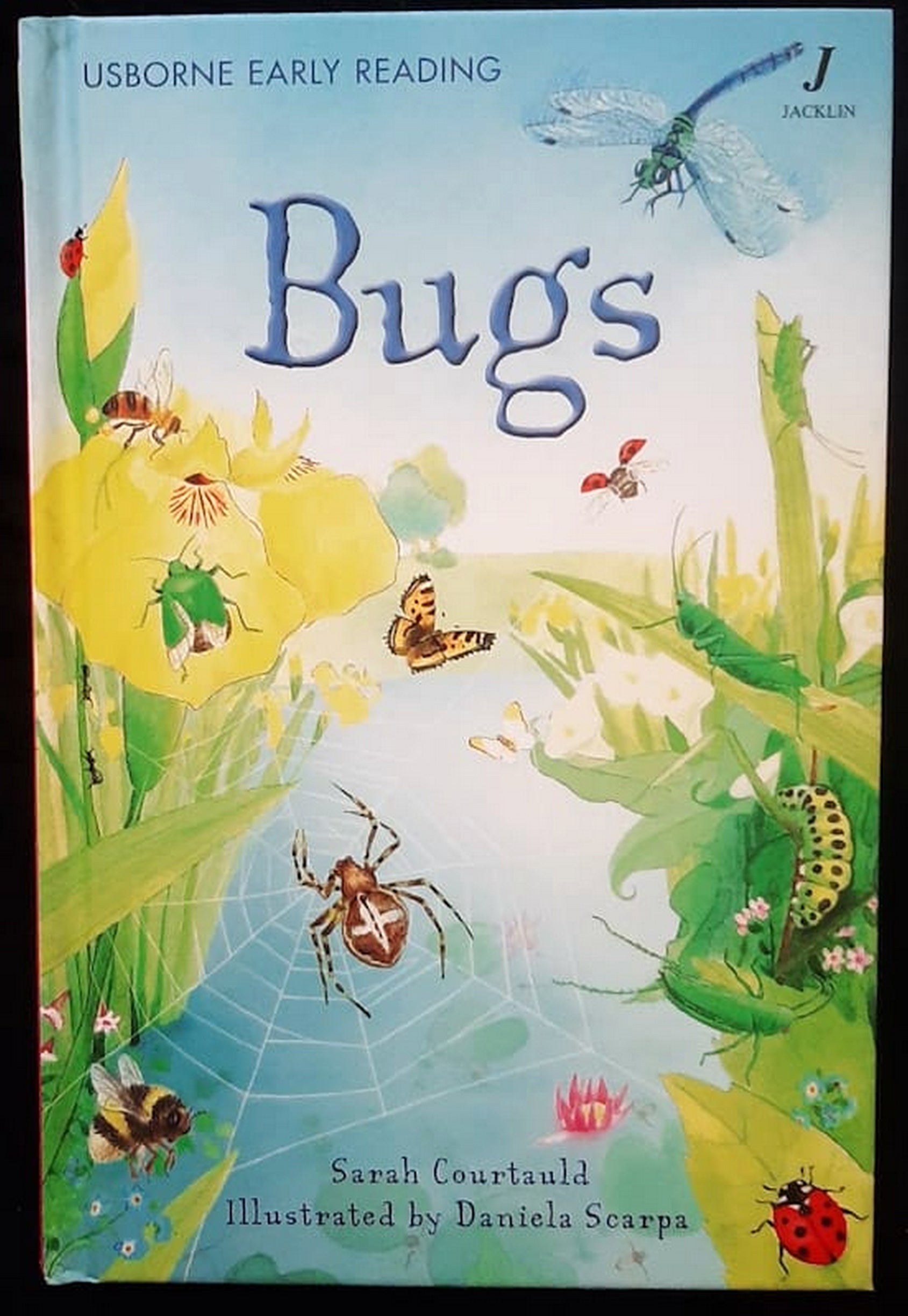 Front Cover Of Bestselling Book Bugs (Sarah Courtauld
)