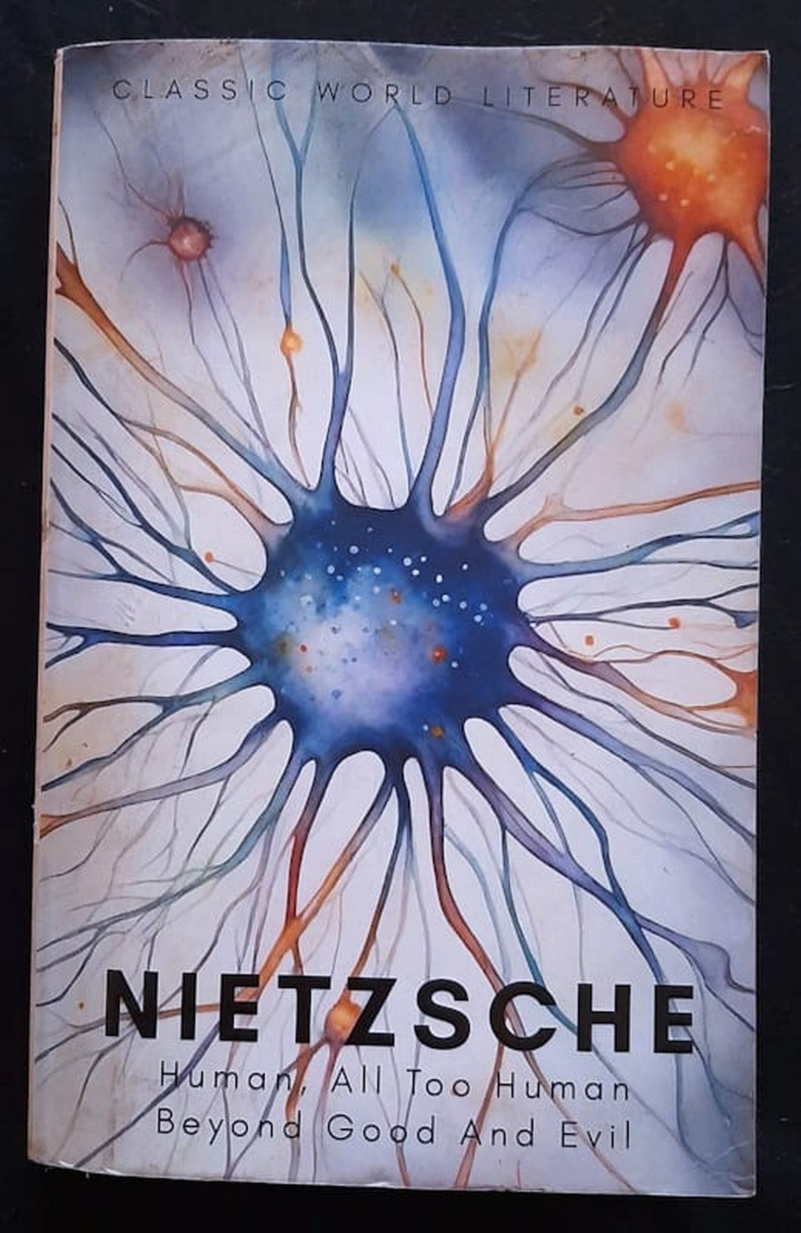 Front Cover Of Bestselling Book Human, All Too Human & Beyond Good And Evil (Friedrich Nietzsche
)