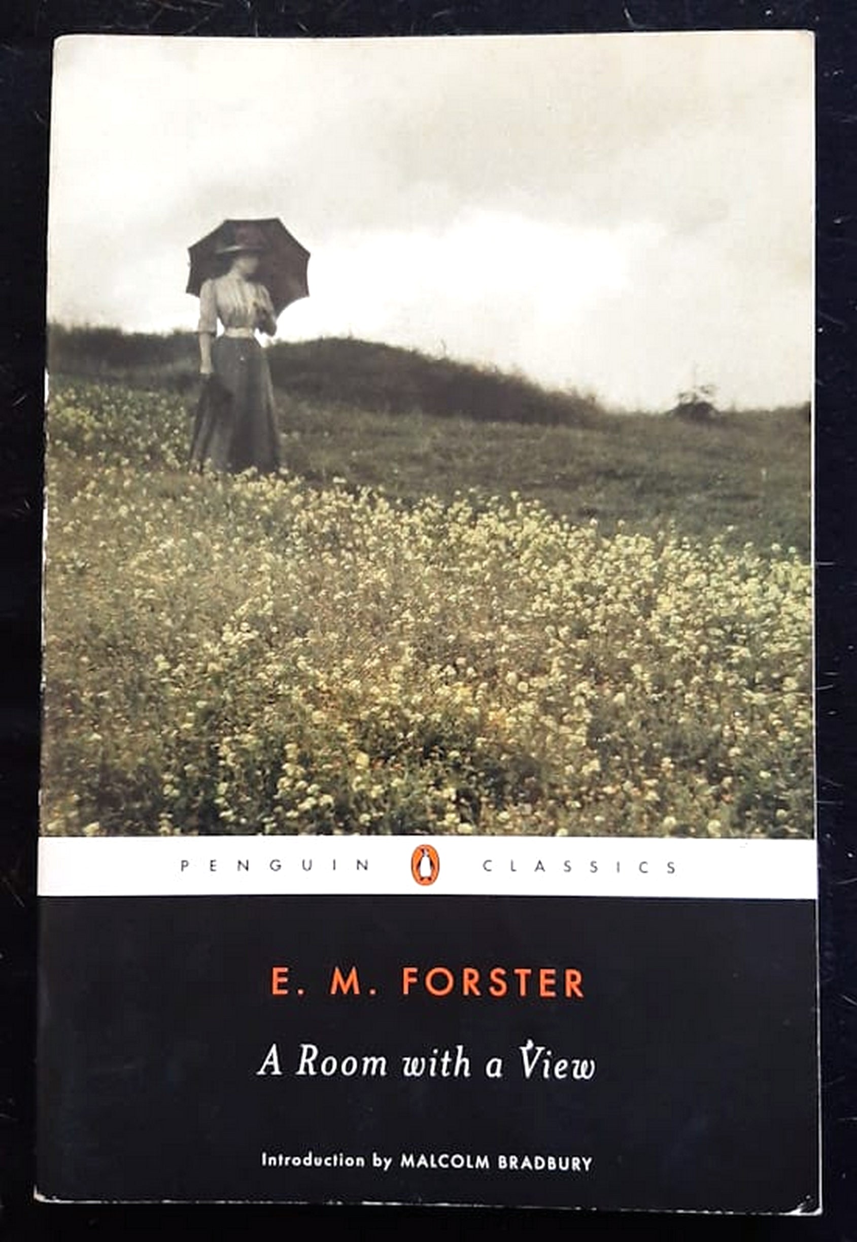 Front Cover Of Bestselling Book A Room With A View (E.M. Forster
)