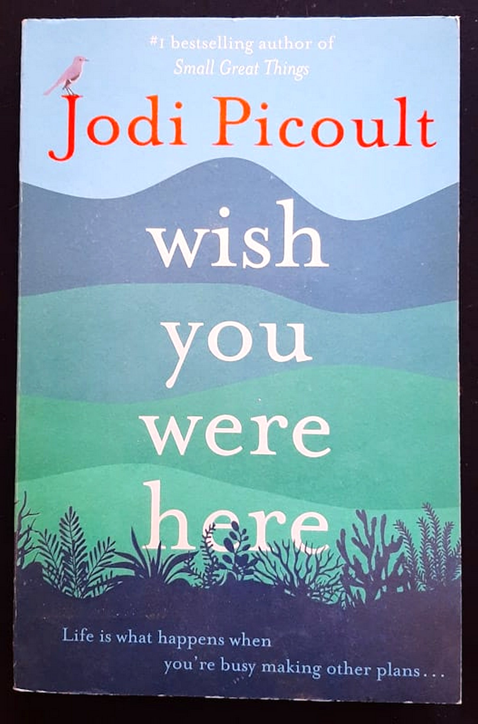 Front Cover Of Bestselling Book Wish You Were Here (Jodi Picoult
)