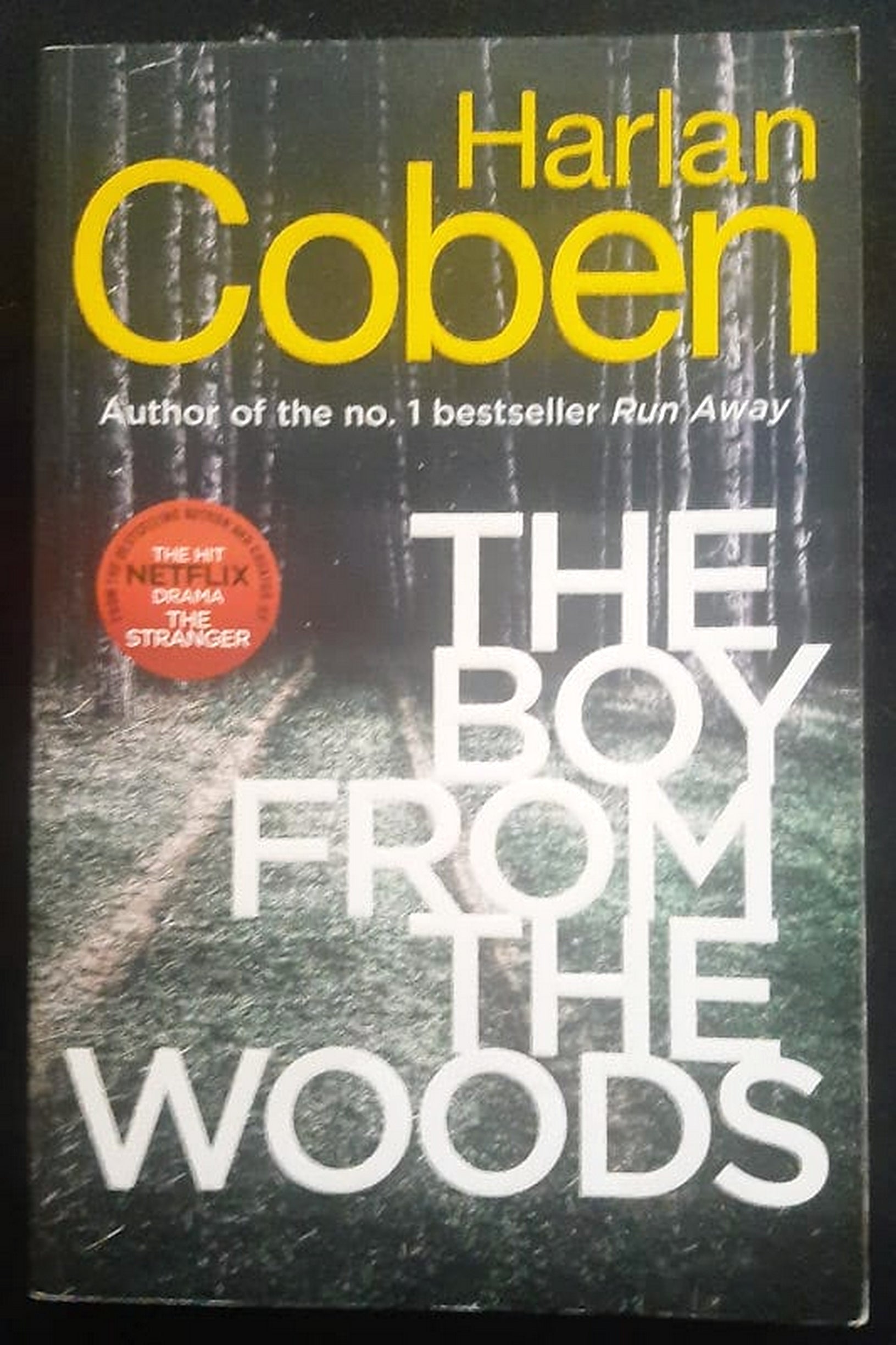 Front Cover Of Bestselling Book The Boy From The Woods (Wilde #1) (Harlan Coben
)