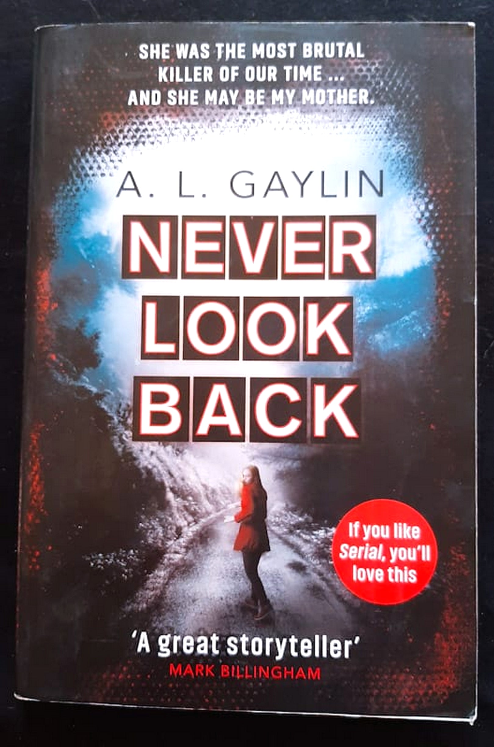Front Cover Of Bestselling Book Never Look Back (Alison Gaylin
)