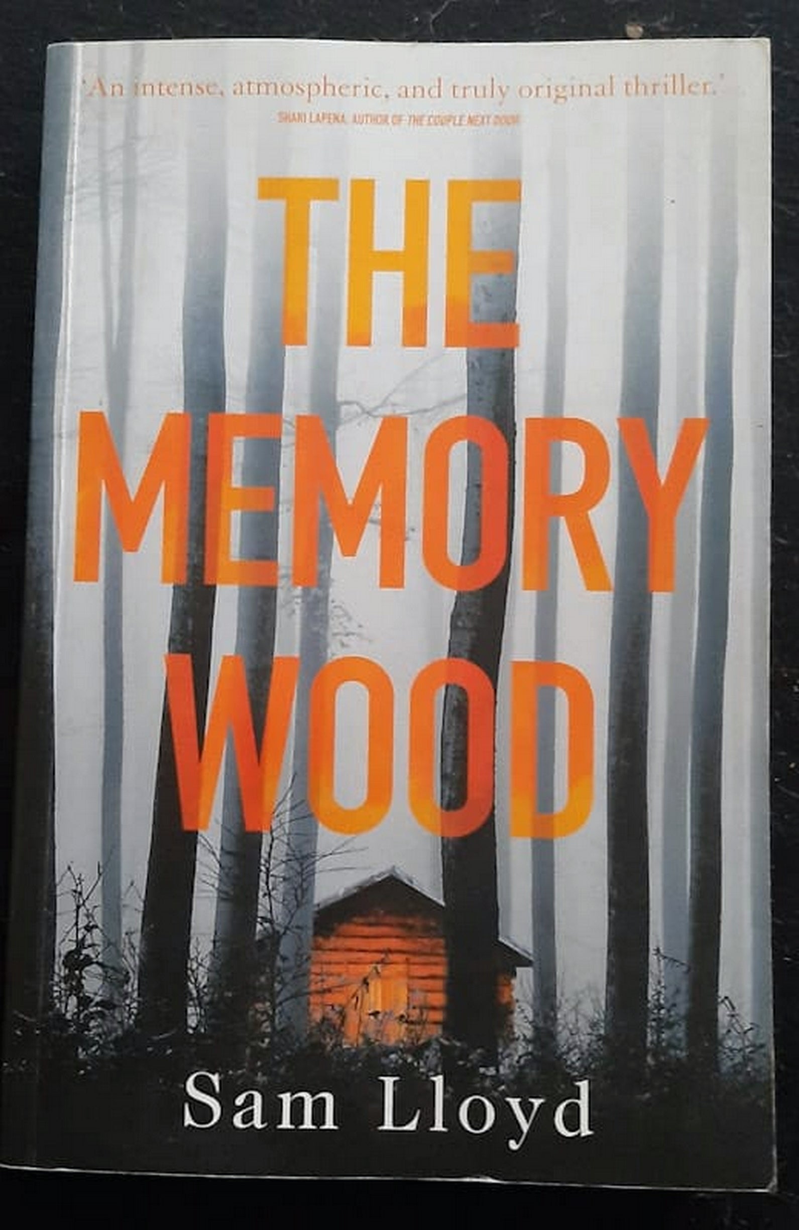 Front Cover Of Bestselling Book The Memory Wood (Sam Lloyd
)