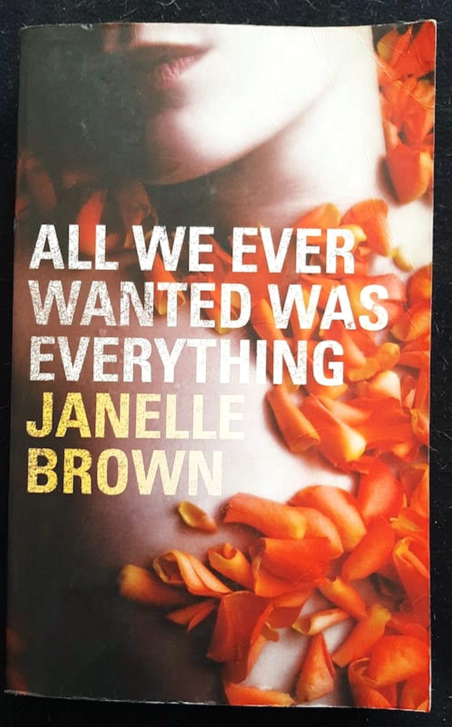 Front Cover Of Bestselling Book All We Ever Wanted Was Everything (Janelle Brown
)