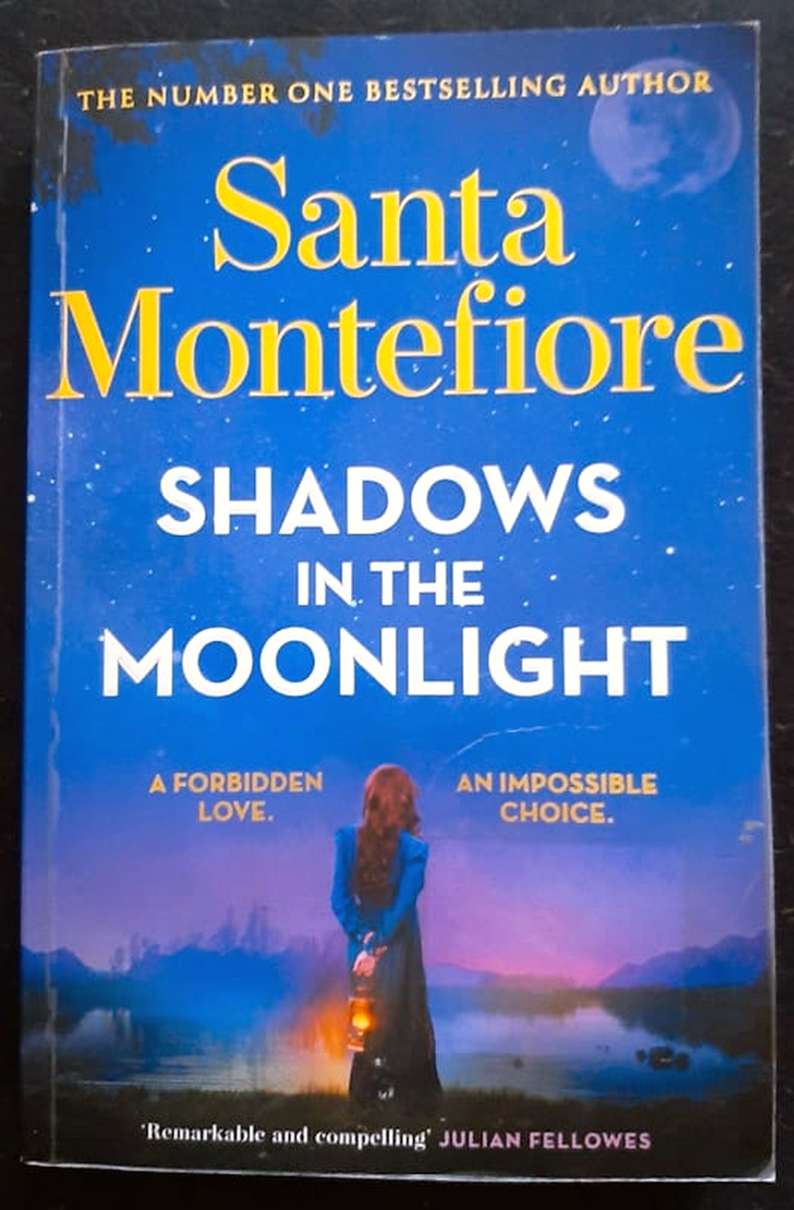 Front Cover Of Bestselling Book Shadows In The Moonlight (Timeslider #1) (Santa Montefiore
)