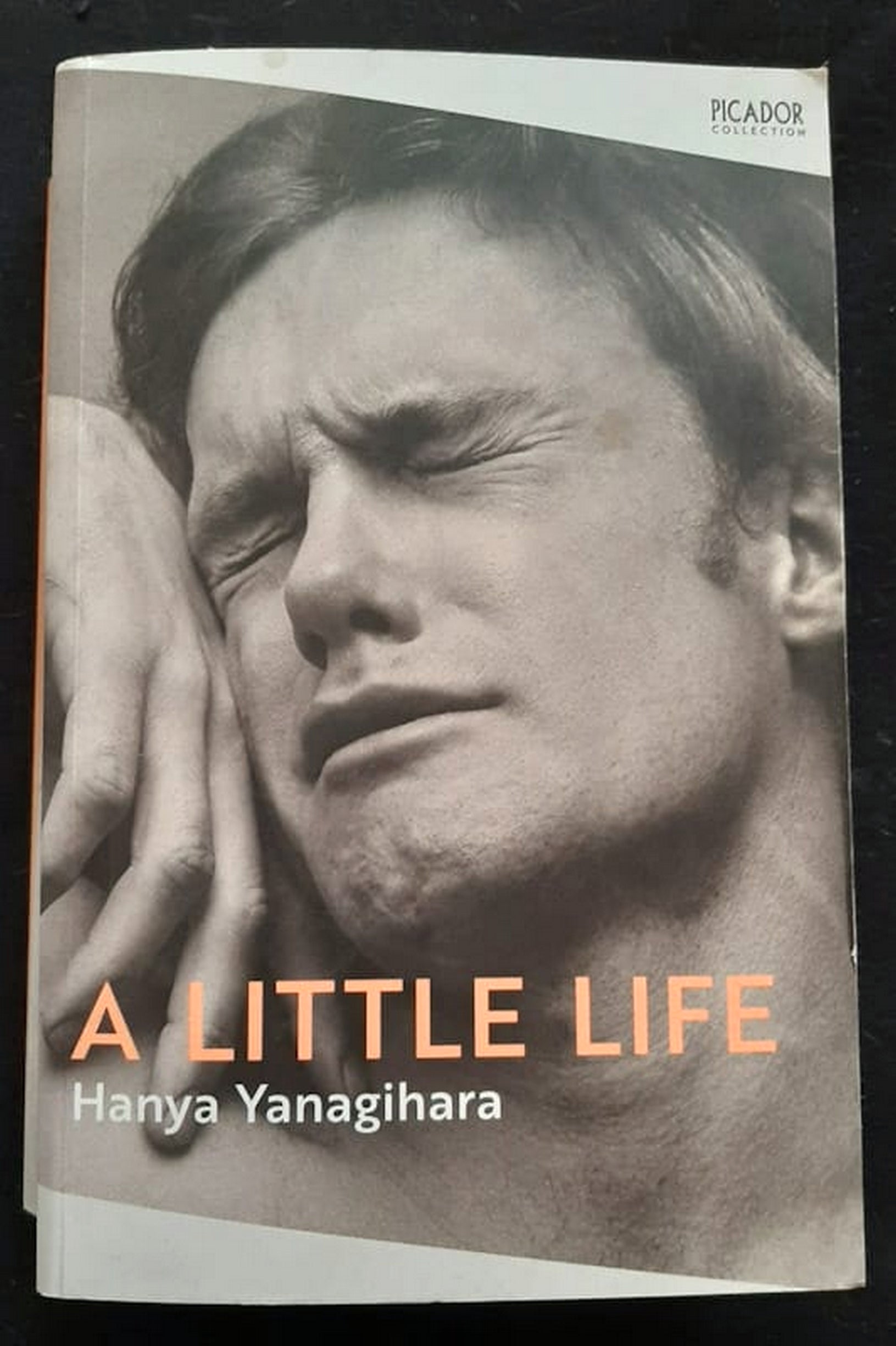 Front Cover Of Bestselling Book A Little Life (Hanya Yanagihara
)