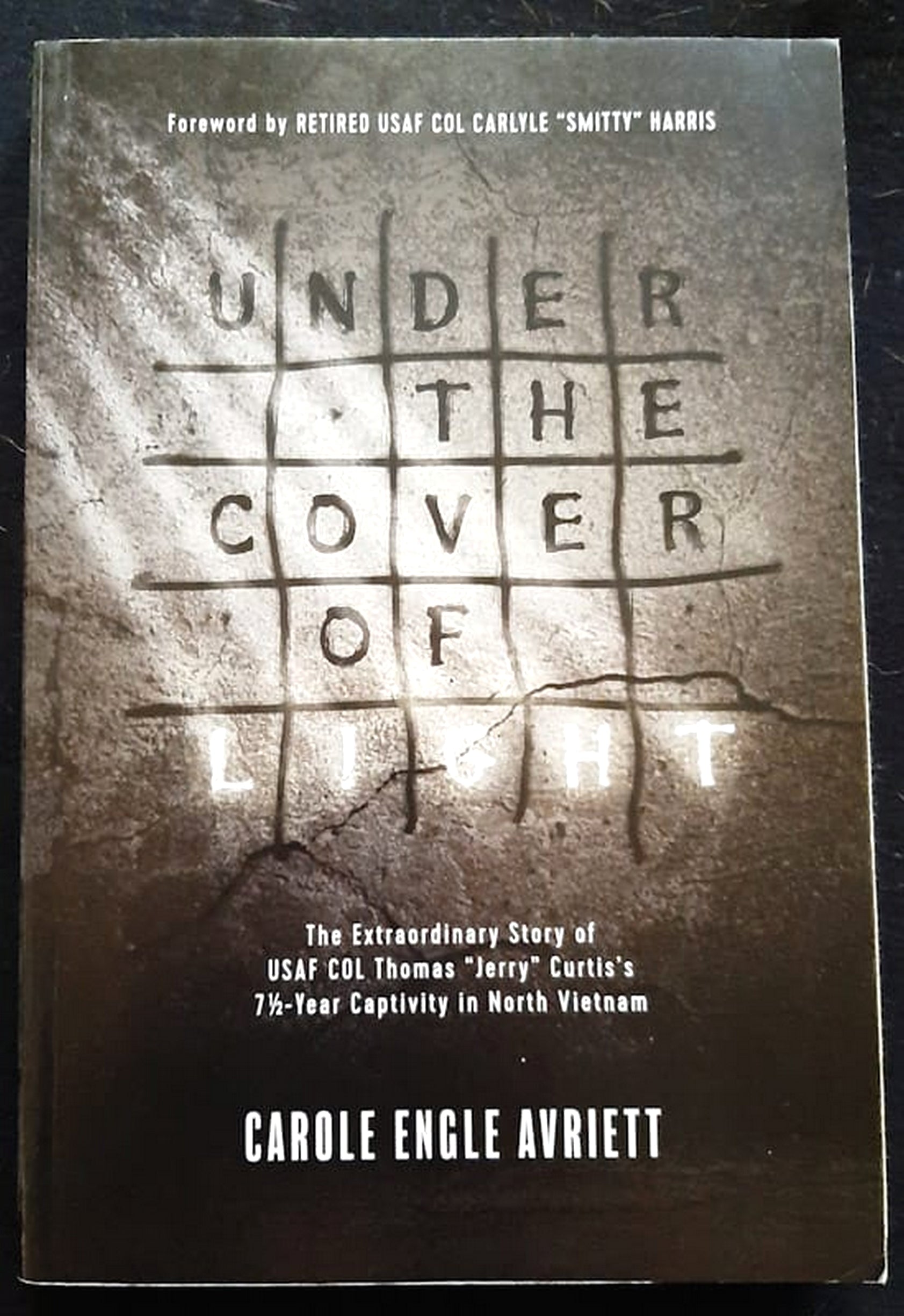 Front Cover Of Bestselling Book Under The Cover Of Light (Carole Engle Avriett
)