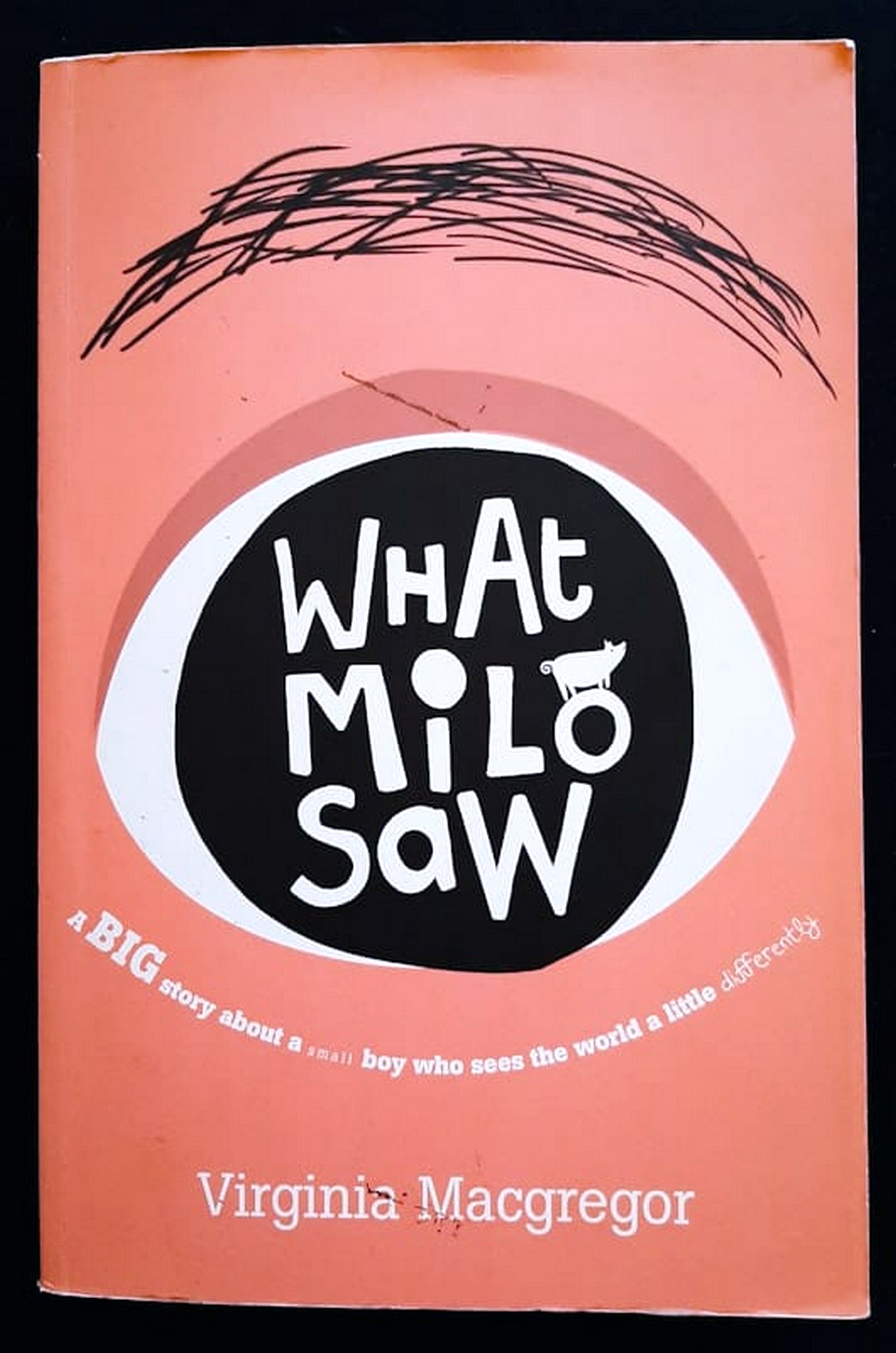 Front Cover Of Bestselling Book What Milo Saw (Virginia Macgregor
)